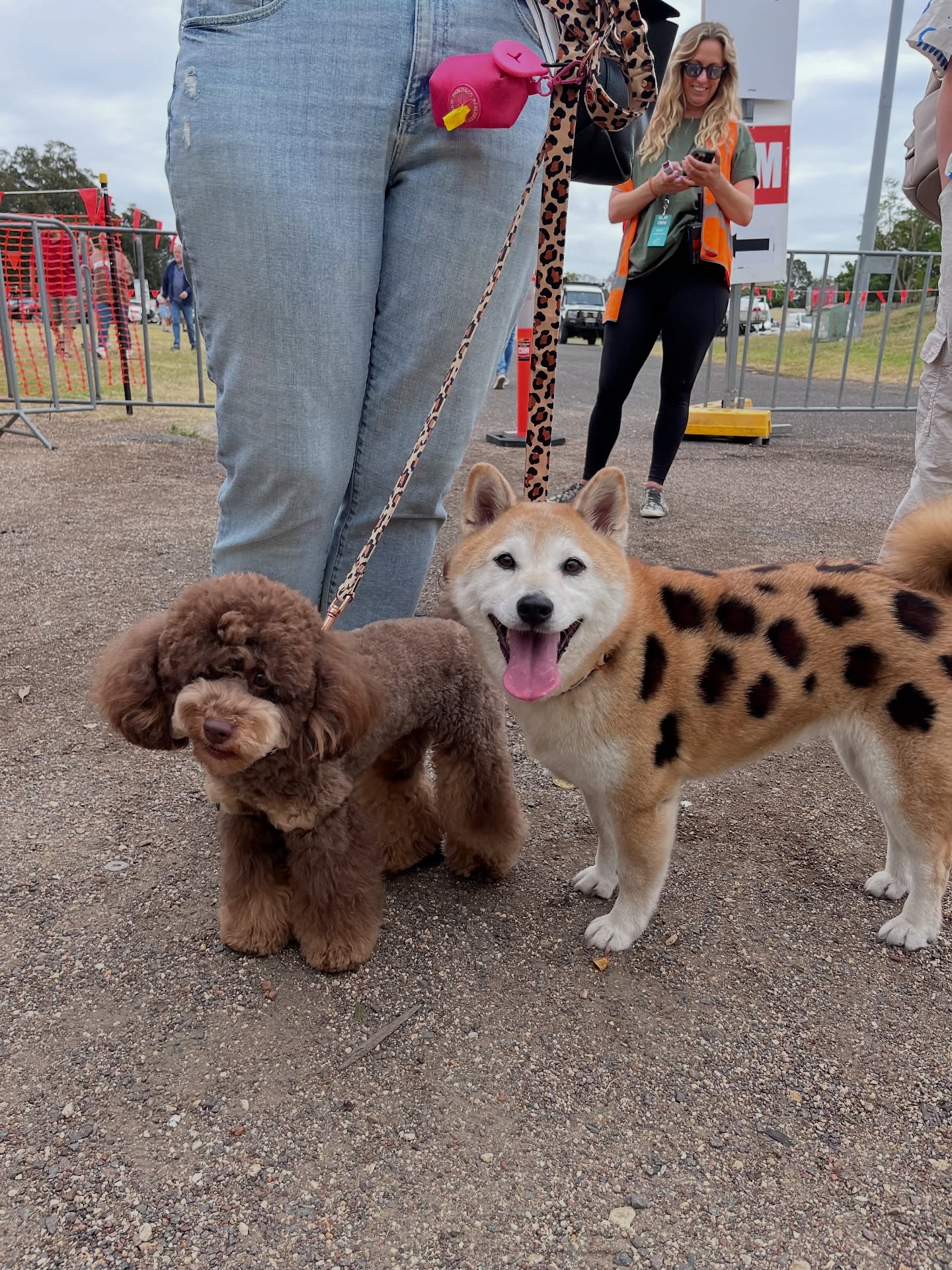 🐾 Bring your furry friends — did you know - we’re a dog-friendly event! 🐶🌿 The Maitland Showgrounds gates are open and the fair is buzzing — come wander, shop, and soak up the garden vibes.
We’re here all day until 4 PM — see you (and your pups!) soon! 💚🌸