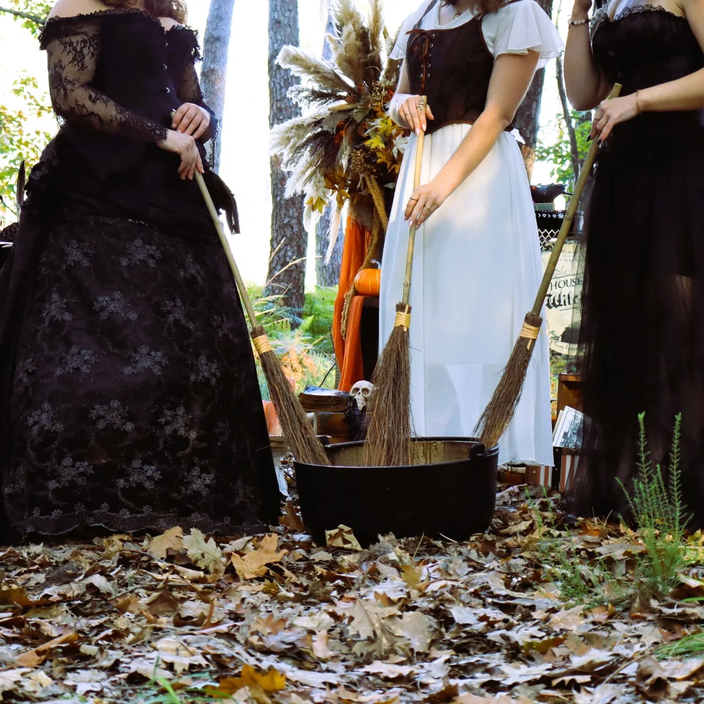 Halloween Spécial Witches - Le Cabinet des Sorcières
#halloween #sorciere #witchaesthetic #witch #wood #thelittlefactory86 #shooting #halloweenaesthetic