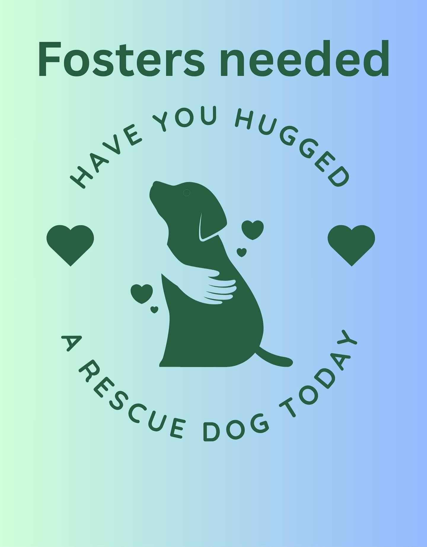 🐶The posted pups need fosters until they can be spayed/neutered and adopted out. 🐶Commitment will be approx 2 weeks. ☑️
Please open your heart and home to one of these cuties and be a step in their journeys to their happily ever after🏠🌈💙
Message or comment for more info
Thank you! Being a foster is a brave, beautiful and selfless act and we can’t save animas without them. 🥰
#rescueunleashed #fosteradog #puppylove #terrier #chihuahua #sharelove #openheartopenhome