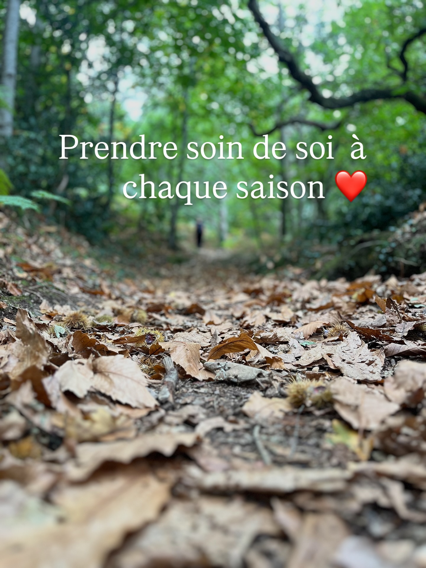 Le saviez-vous? En Médecine Traditionnelle Chinoise, chaque saison est associée à un couple d’organes.
À chaque nouvelle saison, les énergies changent également.
La méthode de la réflexologie plantaire est particulièrement attentive à ces cycles.
À l’automne, le poumon et le gros intestin sont intimement liés.
🫁
Le poumon contrôle notre énergie vitale. Il gouverne la respiration et joue un rôle dans la défense immunitaire.
En cas de grande tristesse, cette émotion affaiblit le poumon. Qui devient plus vulnérable.
Le gros intestin est aussi influencé par l’état énergétique du poumon.
En réflexologie plantaire, une attention particulière et une écoute active sont toujours portées auprès des personnes accompagnées.
Les trajets sur les pieds sont également adaptés au rythme des saisons, au rythme des zones de turbulences traversées par la personne, tout en proposant des outils pour viser un mieux-être au delà d’une séance.
💡L’automne 🍂
C’est une saison poétique. Riche en nuances et en couleurs. À l’image des émotions qui nous traversent.
Cette saison est également le temps pour se recentrer, se préserver des énergies négatives, ralentir et préparer en douceur la période hivernale.
Pour ma part … il m’aura fallut bien des années pour le comprendre 🔆
Je suis Aurore Delebarre Courcoux.
Je suis Réflexologue et praticienne en herboristerie certifiée. J’exerce depuis plusieurs années à Rennes et je vous accueille depuis juin 2025 à Rennes au Quadri, situé à pied du métro Le Triangle.
Prise de rendez-vous directement par téléphone ou via la plate-forme Planity.
N’hésitez pas à découvrir mon profil complet et mon site via www.ressource-aurore.fr
🔆 À bientôt
#rennesmetropole #mtc #reflexologie #emotions #tristesse #mieuxêtre #bienetrefeminin #rennes #herboristerie