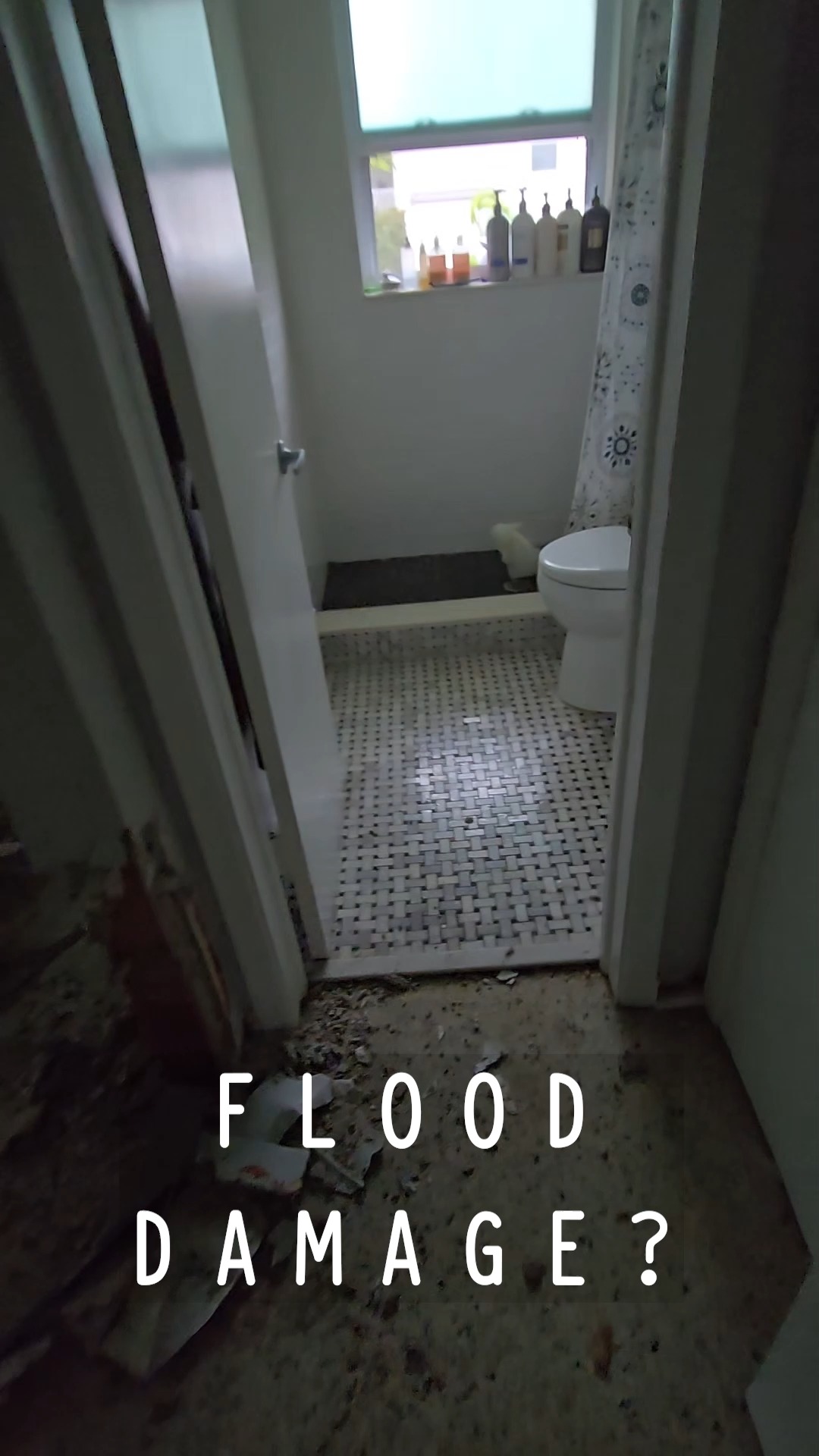 🌊✨ Turning flood damage into fresh beginnings.
Procraft specializes in restoring and remodeling flood-damaged homes across the greater Tampa Bay area — bringing beauty, safety, and comfort back to every space.
From cleanup to complete remodels, we’re here to rebuild what matters. 🏡
#Procraft #FloodDamageRestoration #HomeRemodel #TampaBayRemodel #DisasterRecovery #BeforeAndAfter