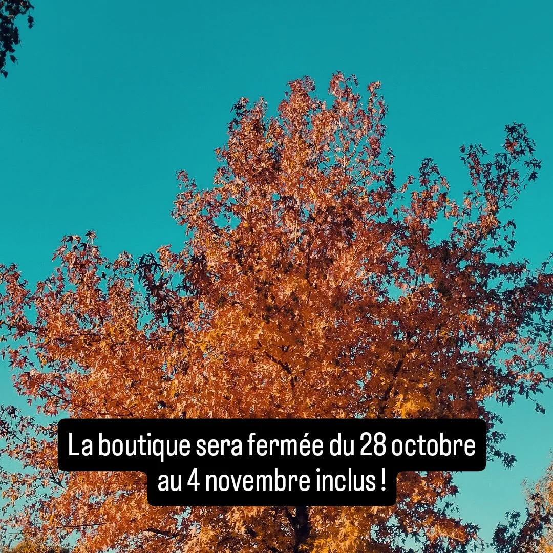 Eh oui, c'est le temps des vacances pour nous et aussi des inventaires 😅.
On se retrouve en pleine forme dès le mercredi 5 novembre !