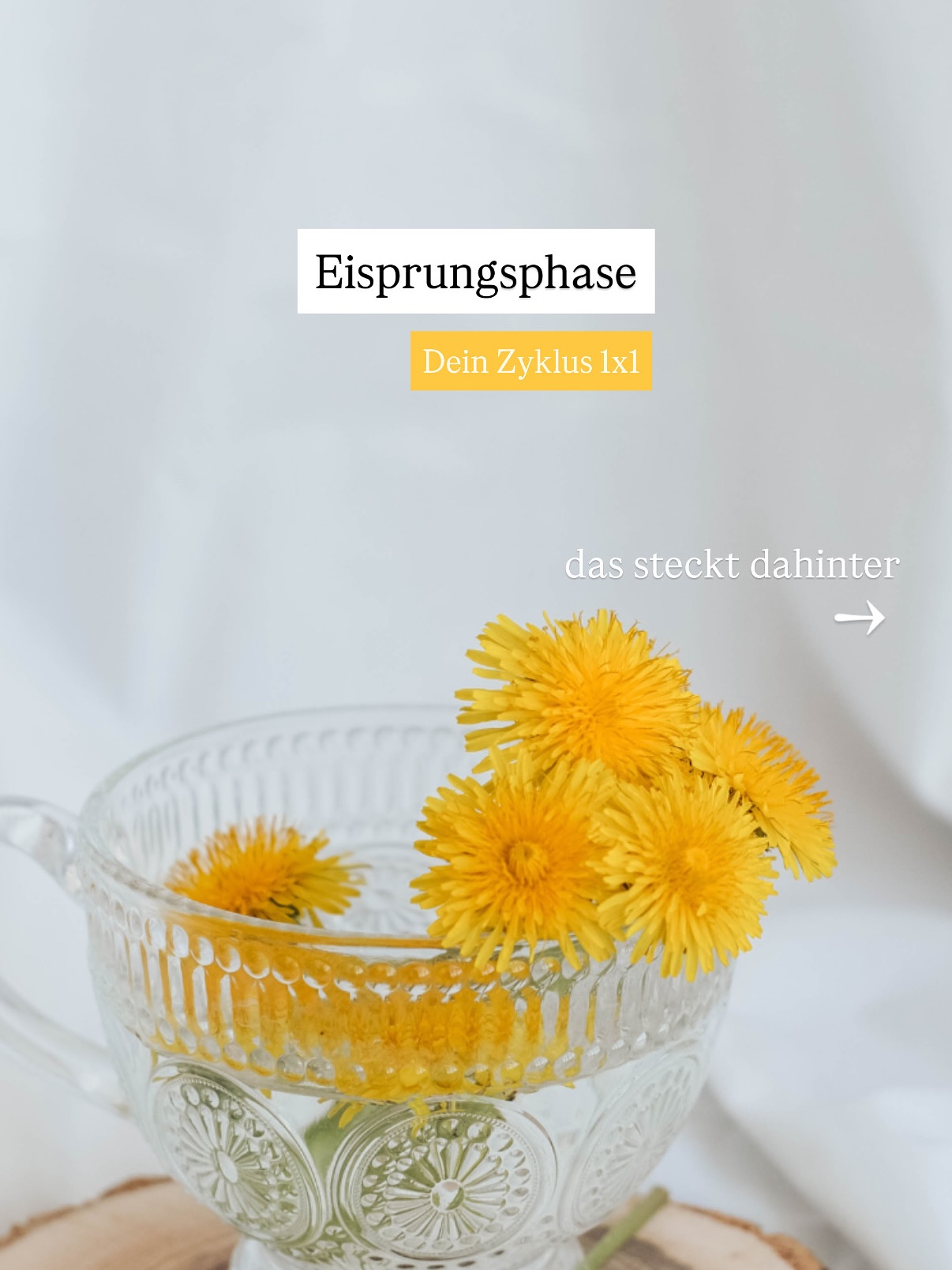 🌸 Das passiert in deiner fruchtbarsten Zeit im Monat!
Der Eisprung selbst ist ein einzigartiges Ereignis – er findet nur einmal pro Zyklus statt. Doch rund um diesen Moment verändert sich dein Hormonhaushalt: Schon einige Tage davor und auch danach sind deine Hormonspiegel erhöht.
In den nächsten Beiträgen erfährst du, wie du diese besondere Phase für dich nutzen kannst – für mehr Wohlbefinden, Energie und Balance.
✨ Lade dir gerne meinen kostenlosen Wellness-Tracker auf meiner Webseite herunter und begleite deinen Zyklus mit mehr Achtsamkeit!
#eisprung #zykluswissen #hormoncoach #zykluscoaching #fruchtbarkeit #hormonwissen #frauengesundheit