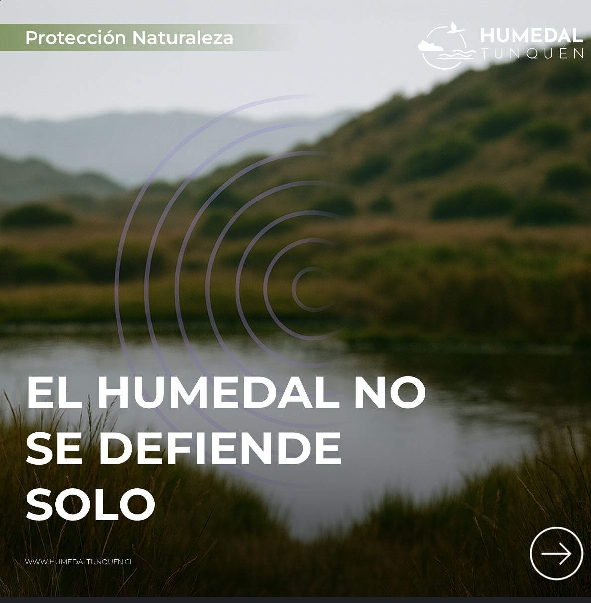 🌍 18 de octubre – Día de la Protección de la Naturaleza
La naturaleza no se celebra un día, se cuida todos.
El humedal Tunquén nos lo recuerda con cada ola, cada ave y cada silencio. 🌿💧