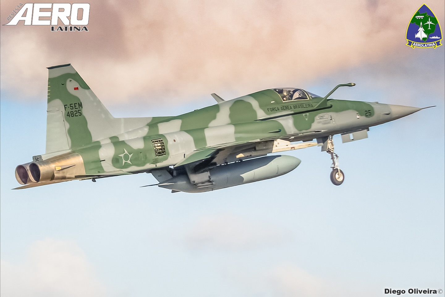 Especial Semana do Aviador: A aviação de caça sem sombra de dúvidas, encanta a todos, desde as pequenas crianças aos mais idosos e como estamos na semana do aviador, nada melhor do que comemorarmos postando estas belas imagens dos caças utilizados pela Força Aérea Brasileira e pela Marinha do Brasil que cruzam os céus do nosso país e que foram registradas pela equipe de fotógrafos da AeroLatina.
Na Semana do Aviador, cada registro das aeronaves aqui compartilhada é mais que uma imagem, é memória eternizada da paixão que sustenta o sonho de voar. 🛩✨
23 de Outubro - Dia do Aviador e da Força Aérea Brasileira.
#SemanaDoAviador #aviaçãomilitar #aviation #aviationphotography #avgeek
