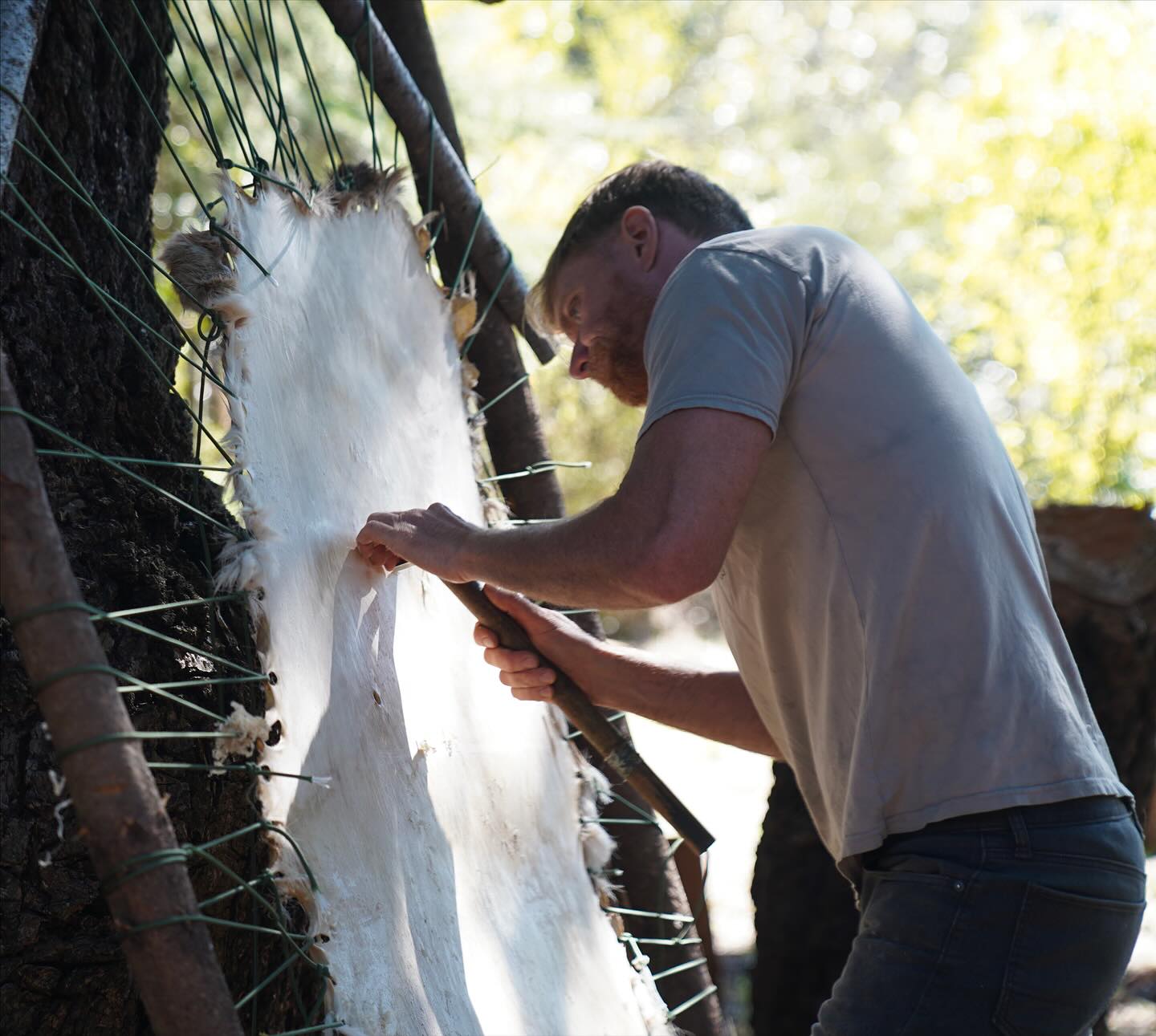 Dry scraping a deer hide to make soft leather. Once scraped, brains are added to the skin to make it soft. It’s pulled then smoked to make it water resistant and makes the nicest, softest skins you can get. #survival #primitiveskills #primitivetechnology #bushcraft #naturecrafts #natureisbetter #hidetanning #braintanning