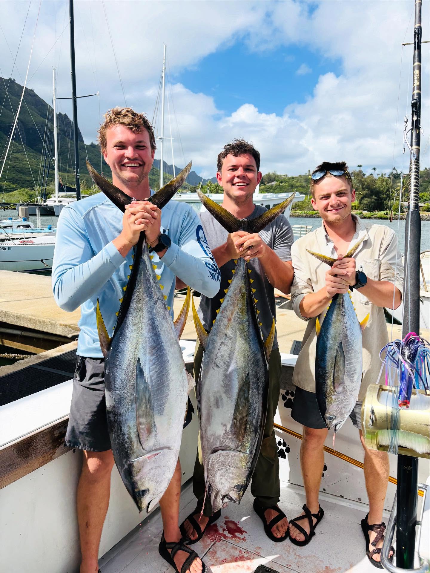 The Teva Band of Brothers showed up to the dock straight off a four-day Kalalau Trail hike — sunburned, salty, and smiling. 🌴 They came, they conquered, and the island rewarded them with three solid yellowfin tuna to seal the deal. From trail legends to tuna slayers — not a bad way to end a trip, boys! 🐟💪
……………………………………………….
🎣 Book your Kauai fishing adventure today!
📞 Call/Text: +1 (808) 652-4556
🌐 GoFishKauai.com
……………………………………………….
#GoFishKauai #YellowfinTuna #AhiTuna #KauaiFishing #DeepSeaFishing #FishingHawaii #OffshoreFishing #TunaFishing #HawaiiAdventures #KalalauTrail #TevaBandOfBrothers #CollegeTrip #TunaTime #KauaiCharterFishing #CatchOfTheDay #FishingLife #GoFishGang #BigIslandEnergy #MarlinDreams #IslandVibes #OceanToTable