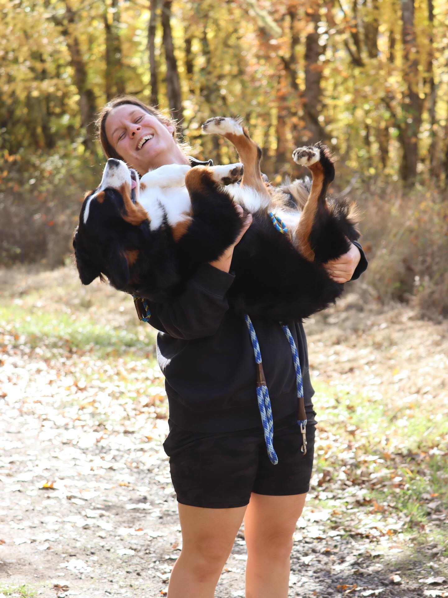 We needed a walk in the woods kinda day and what better dogs to do it with then Marsha, Odessa, and Wednesday 💙 @lkminibernese