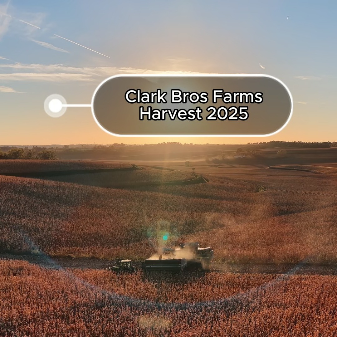 Harvest in Iowa with Clark Bros Farms - Love doing these!
#johndeere #iowa #harvest #harvest2025 #cornharvest #dronevideo #mavic4pro #sunsetfarming #farming