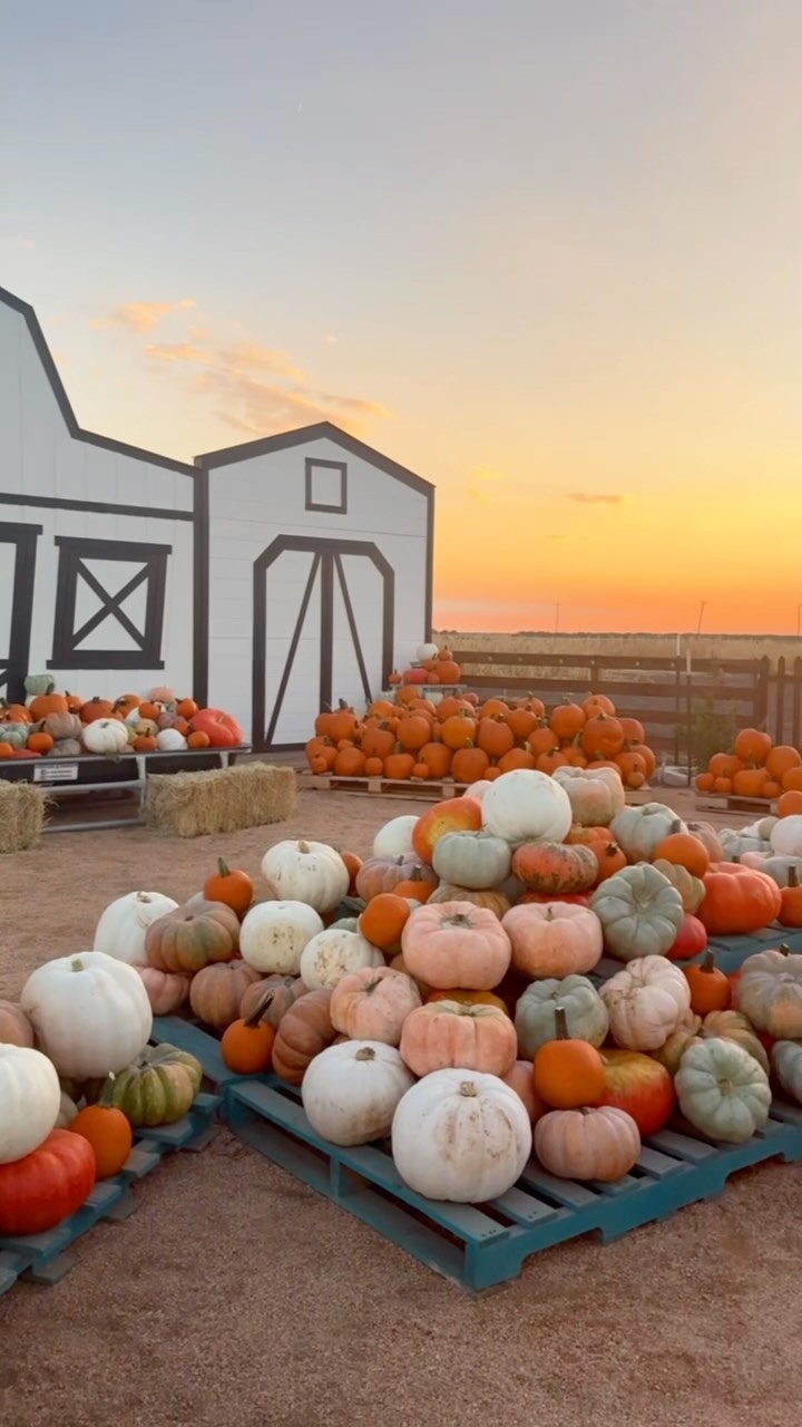 October’s flying by and so is your chance to visit Rockin’ K! Don’t miss out, come make some memories with us this weekend! 🤎🥤🛝🎤🎃
✨Take a look at some special events this weekend 10/25-10/26:
🦸: Costume contest 12 and under! 3:00pm and 6:00pm
🍭: Trick or treating ages 12 and under through the maze! 1-2:00 pm & 7-8:00pm.