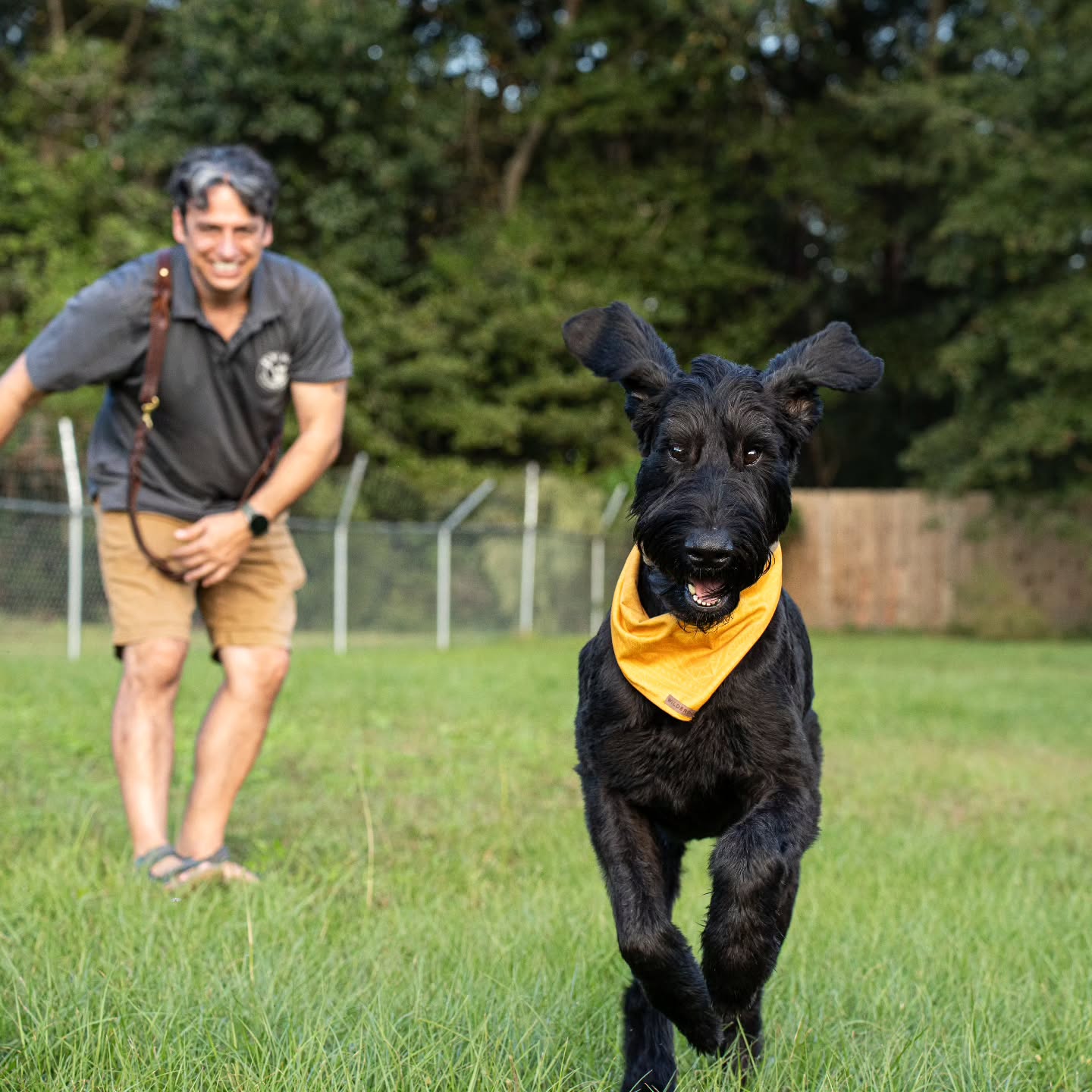 We recently had some photos done by @keylateannphotography and they are awesome! Look at Wolfie go π We'll be posting more in the coming days so stay tuned!
#dog #dogs #dostagram #dogsofinstagram #pup #puppy #pupper #doggo #puppylove #doglove #doglover #doggie #doglife #puppylife #dogsofinsta #puppiesofinstagram #dogsofsavannah #dogoftheday #pets #doglife #dogtraining #dogboarding #dogsitting #petcare #savannah #giantschnauzerofinstagram #petphotos