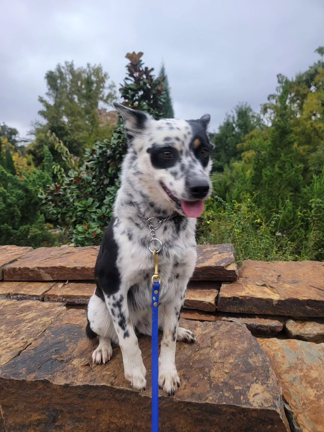 Working miss Kaala today!