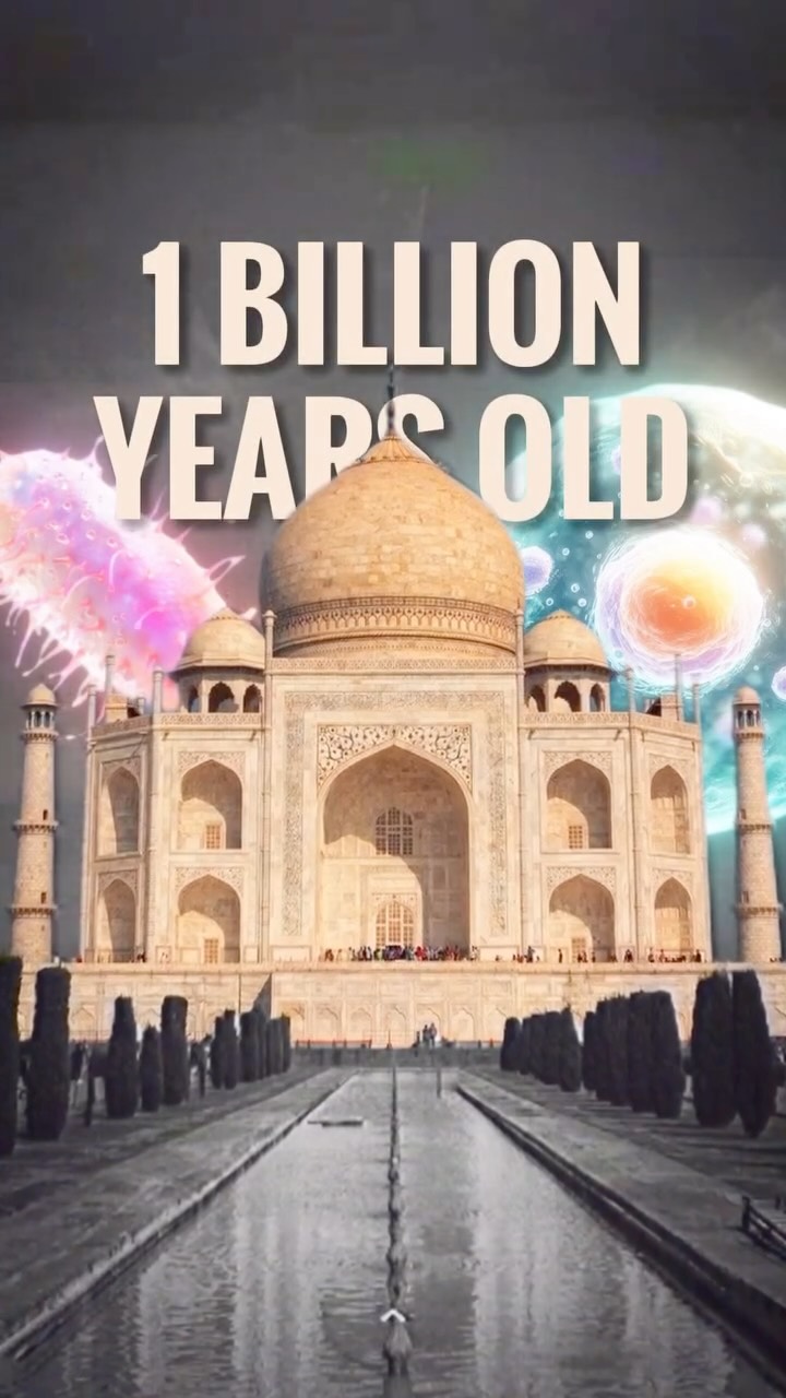 How old are really India’s monuments? The geological building blocks of India’s culture were literally made in Deep Time.
Drop your fav monuments in the comments and we’ll tell you what rock it’s made off!
#earthscience #theneevproject #geology #tajmahal #redfort #golconda #rocks #history
Sources: Geological Society of India https://share.google/dEGgQf295AKcGv37k
https://richardigibson.substack.com/p/delhis-red-fort
https://hyderabad.telangana.gov.in/tourist-place/golconda-fort/