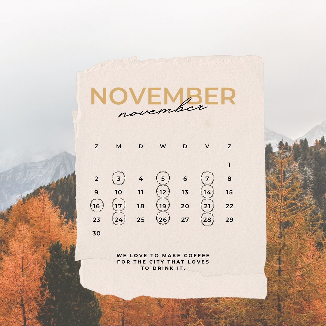 •OPENINGSUREN EIND 2025•
Autumn is here, so Christmas is near! 🎄
Maandagnamiddag zijn we nog open van 14u-17u, daarna brengen we tijd door met ons gezin 🤎 🍂
Voor alle mensen die moeten werken tijdens onze standaard openingsuren: Wij doen speciaal voor jullie een zaterdag (20/12) en een zondag (16/11) open! 🥳
Alle andere cirkeltjes:
Maandag: 14u-17u
Woensdag: 10u-17u
Vrijdag: 15u-18u
Zondag 16/11: 9u-16u
Zaterdag 20/12: 14u-17u