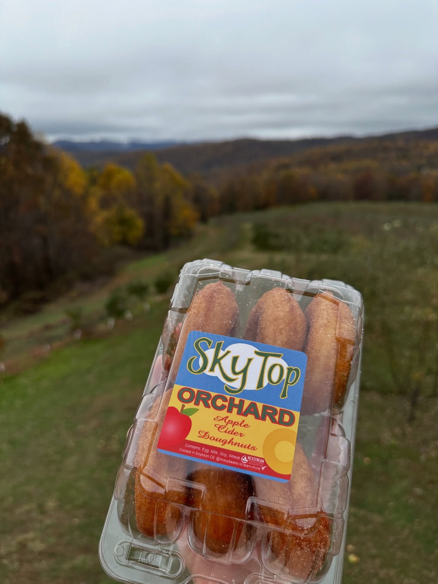 ๐๐๐Color change is such a magical time at Sky Top! ๐ Enjoy stunning mountain views, our famous cinnamon-sugar coated apple cider donuts, hot cider, homemade pies and baked goods, and a great selection late season apples!
Weโre open daily 9-6 (9-5 after time change) until November 30th. ๐ Hayrides, Apple cannon, bee train, and gem mine are open 7-days/week!
๐Pie in the Sky Pizza serving up hand-tossed pizzas is open 11-5 Fridays-Sundays and 11-3 on weekdays!