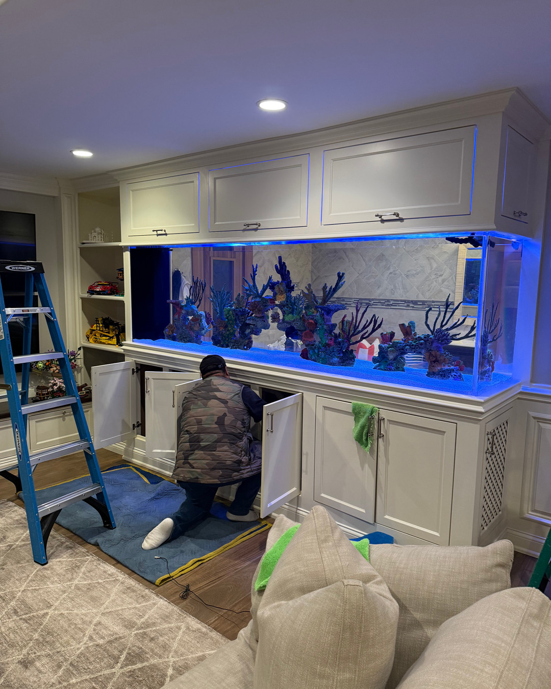 Aquarium maintenance is essential for the health of aquatic life and the longevity of your tank. Regular upkeep not only ensures a vibrant environment but also saves you from costly repairs down the line. Let's dive into best practices for keeping your aquarium thriving! Visit us for more insights: https://www.chicagofishguy.com #AquariumCare #SustainableAquatics #allmymoneygoestocoral