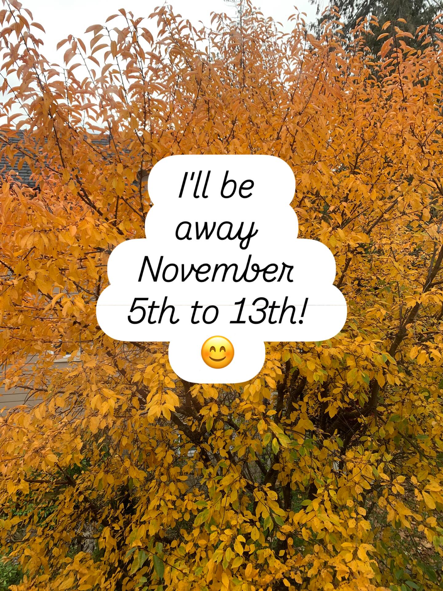 A heads up Danielle will be away from the office November 5th to 13th 😊
.
.
#counselling #canadiancounsellor #registeredclinicalcounsellor #victoriabc #pnwcounsellor #counsellingpractice #individualcounselling #bcacc #ccpa #RCC #counsellor #colwoodcounsellor #colwood #backtobackchiro #westshorecounsellor #therapist #westshorechamberofcommerce