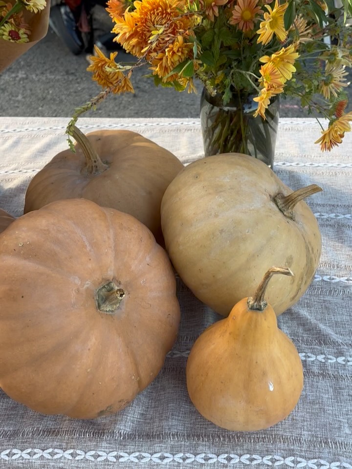 Haunted flowers in the mountains @oldknowbevco tonight til 9.
Come and get some of the best and brightest of the season and celebrate fall in style!
#localflowers