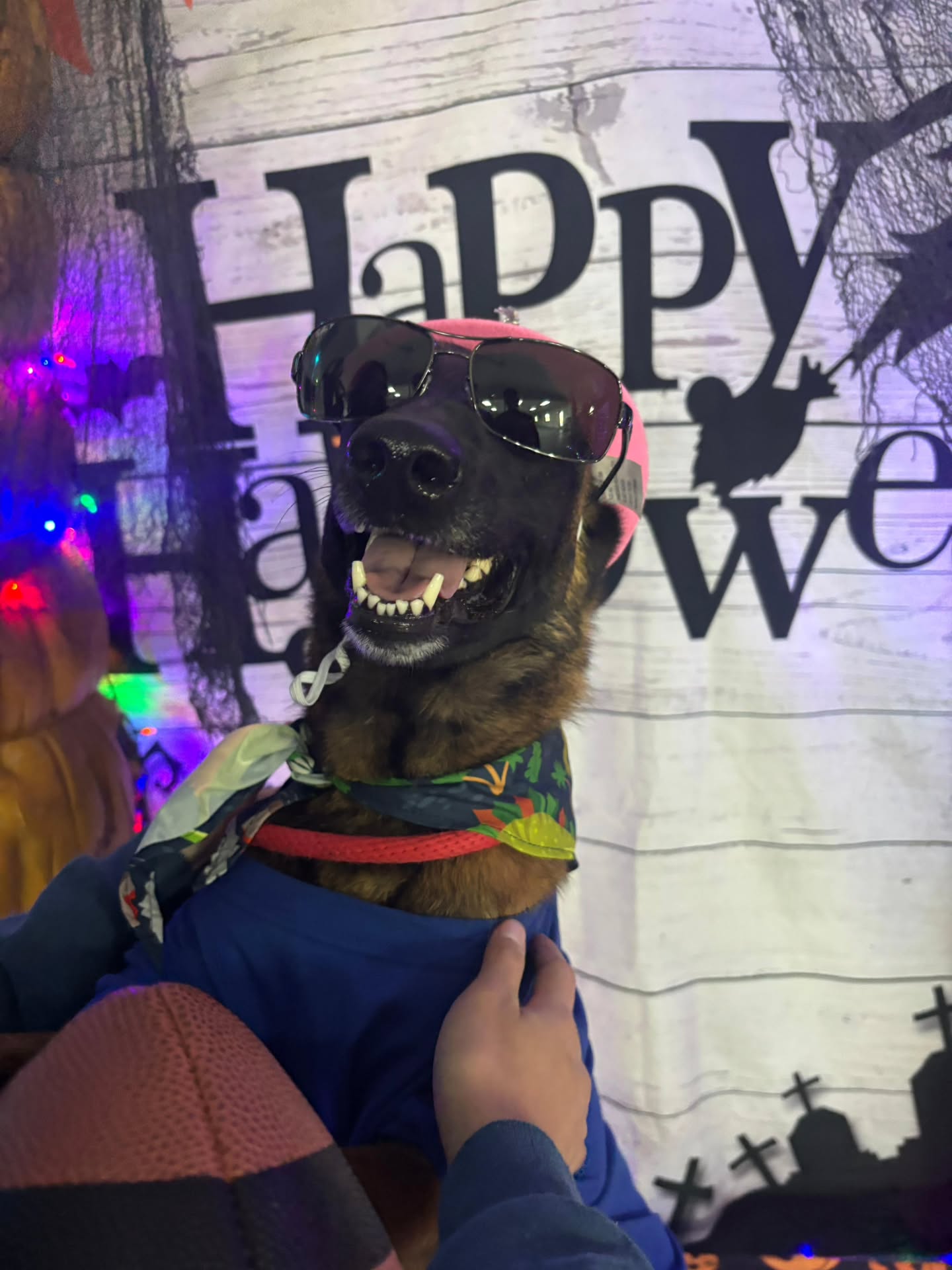 Scarlet couldn't decide what to be