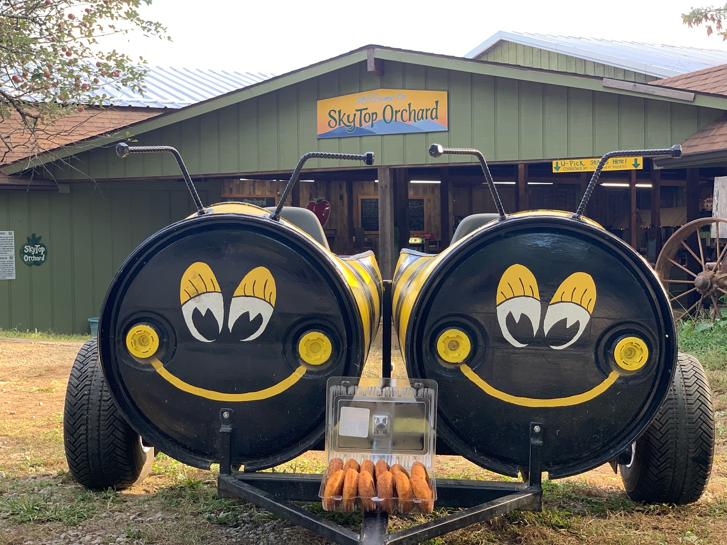 The SUN is finally shining! 🌞🍂🎃 Join us to get your fill of donuts, already-picked apples, freshly baked pies, cider, and jams/jellies before the season ends!
We’re open 7-days a week from 9-6 (9-5 starting Sunday) with all attractions open daily. Our last day of the 2025 season is Nov 30th.