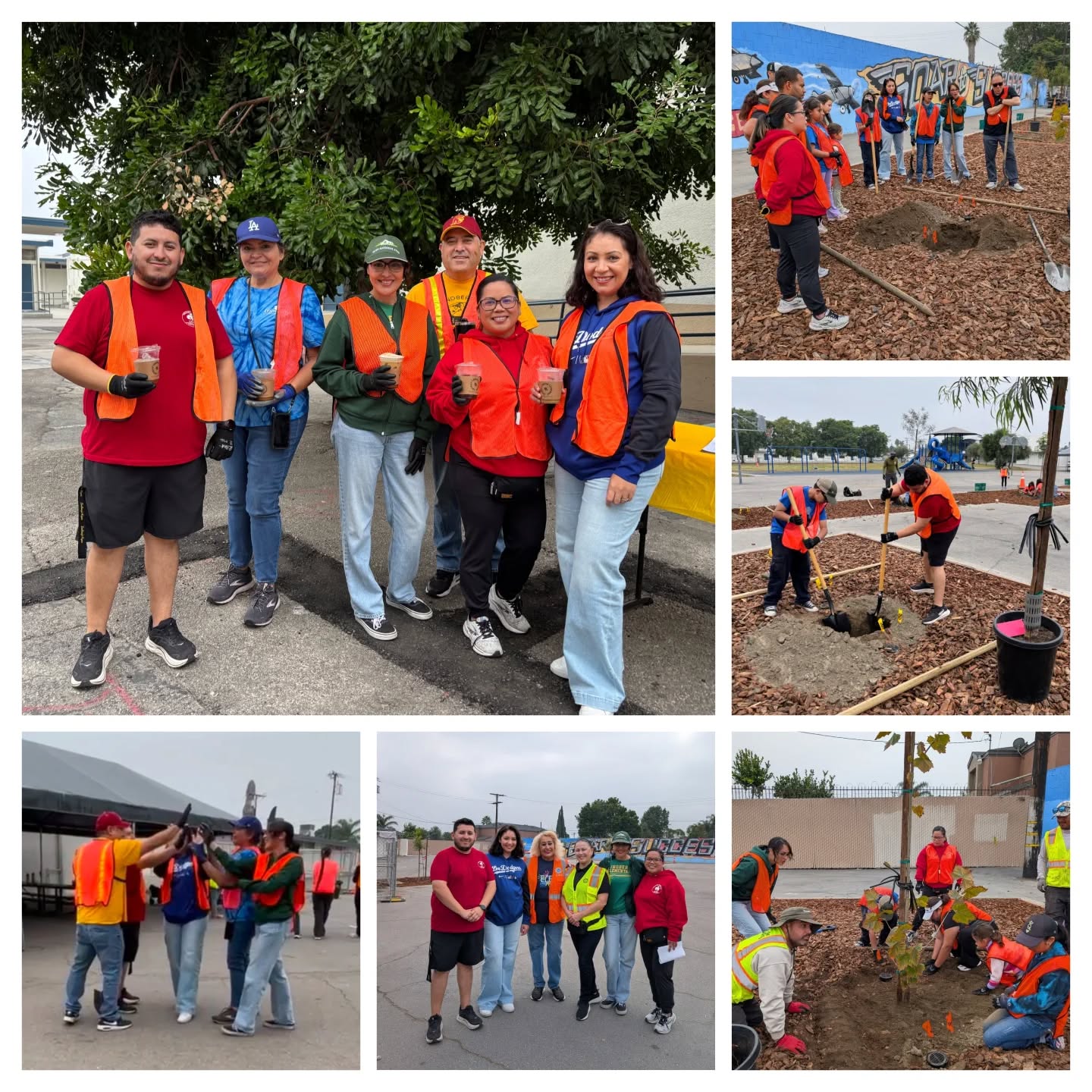 This weekend, some of our members teamed up with students, families, District officials, and community members to plant trees and build a greener future at Lindbergh Elementary! #StrongerTogether