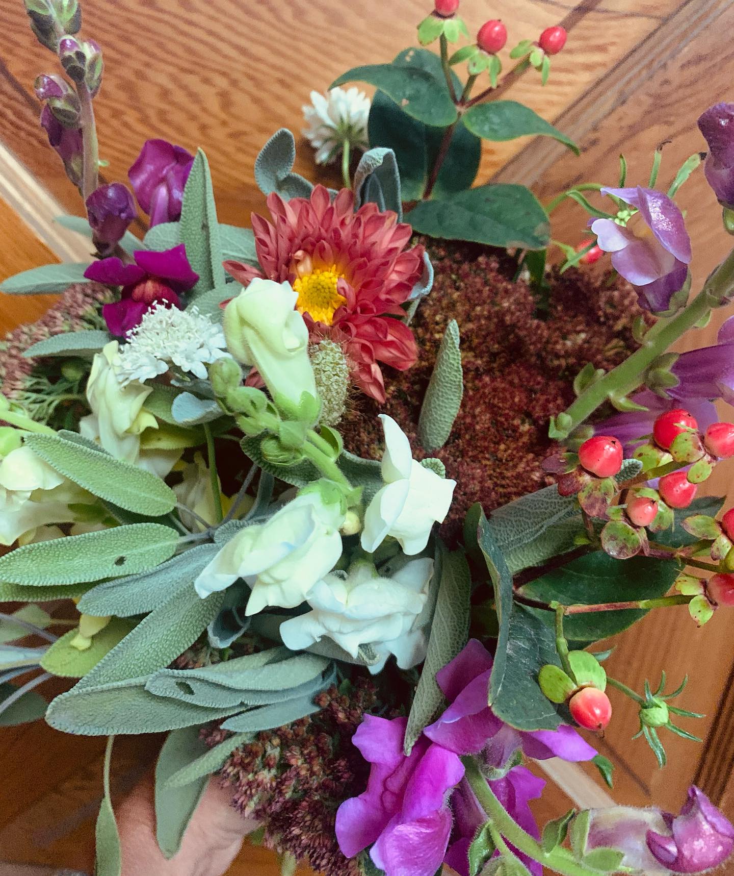 The very last of our 2025 field grown flowers went out to our fall season subscription holders today! And that marks the end of our fall season subscription.
Next up - our 2025 Christmas Season Subscription starts at the end of November. Order your subscription today - for yourself (or give the subscription as a gift). Either way - we’ll deliver beautiful and local Christmas decor right to your door. Pre-order your Christmas subscription today: www.thegardeninharrington.com
#Thegardeninharrington #harringtonontario #tavistockontario #tavistockontarioflowers #harringtonontarioflowers #embroontario #embroontarioflowers #embroontarioflowerdelivery #tavistockontarioflowerdelivery #thamesfordontario #lakesideontario #stmarysontario #stmarysontarioflowers #stmarysontarioflowerdelivery #woodstockontario #woodstockontarioflowers #woodstockontarioflowerdelivery #hicksonontario #flowerfarm #canadianflowerfarmer #ontarioflowerfarm #ontarioflowerfarmer #oxfordcounty #perthcounty #stratfordontario #stratfordontarioflowers #stratfordontarioflowerdelivery #freshflowers #haveyouseenaflowerfarmyet