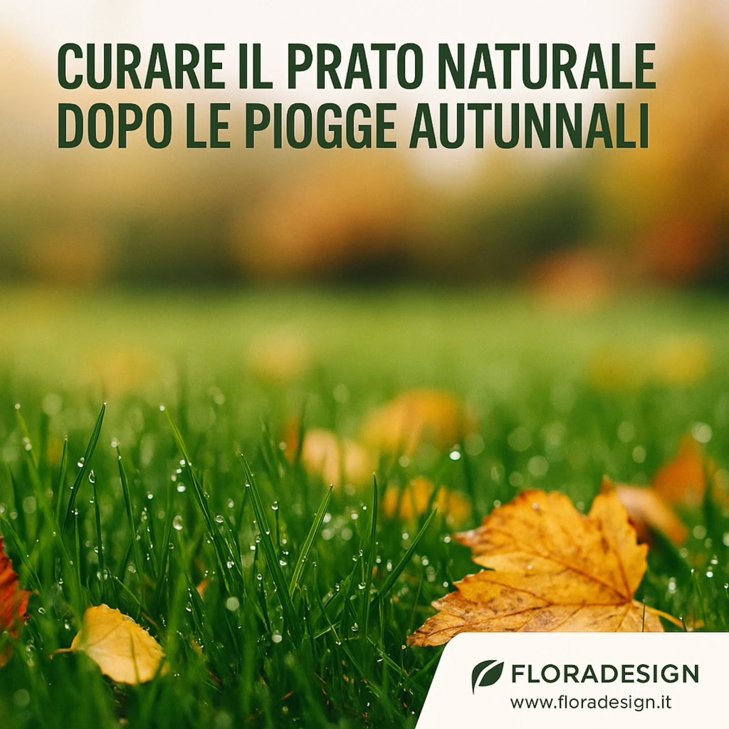 🌿 È il momento perfetto per preparare il giardino all’inverno! 🌿
Con la stagione fredda alle porte, una buona pulizia del giardino e una potatura leggera aiutano le piante a restare sane e pronte a rinascere in primavera.
✅ Rimuoviamo foglie e rami secchi
✅ Controlliamo lo stato delle siepi e degli alberi
✅ Prepariamo il terreno con i trattamenti giusti
💬 Vuoi un consiglio o un preventivo gratuito?
Contatta FloraDesign — ci trovi a Roma Nord (Cassia, Trionfale, Monte Mario, Camilluccia e zone vicine).
📞 393 8892343
🌐 www.floradesign.it