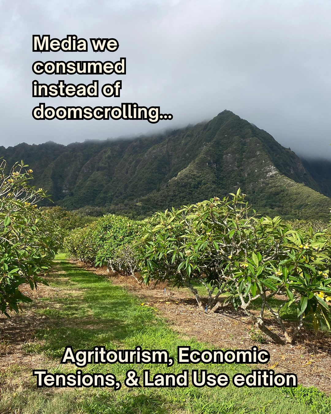 Media we consumed instead of doomscrolling 🌱
This week’s theme: Agritourism, Economic Tensions, & Land Use
From the rise of luxury “farms” to the aging of Hawaiʻi’s farming population, these op-eds written by our Food+ interns dive deep into the policies shaping who gets to farm, what counts as agriculture, and how land use decisions impact our food future.
Read the full pieces on our Medium page → link in bio