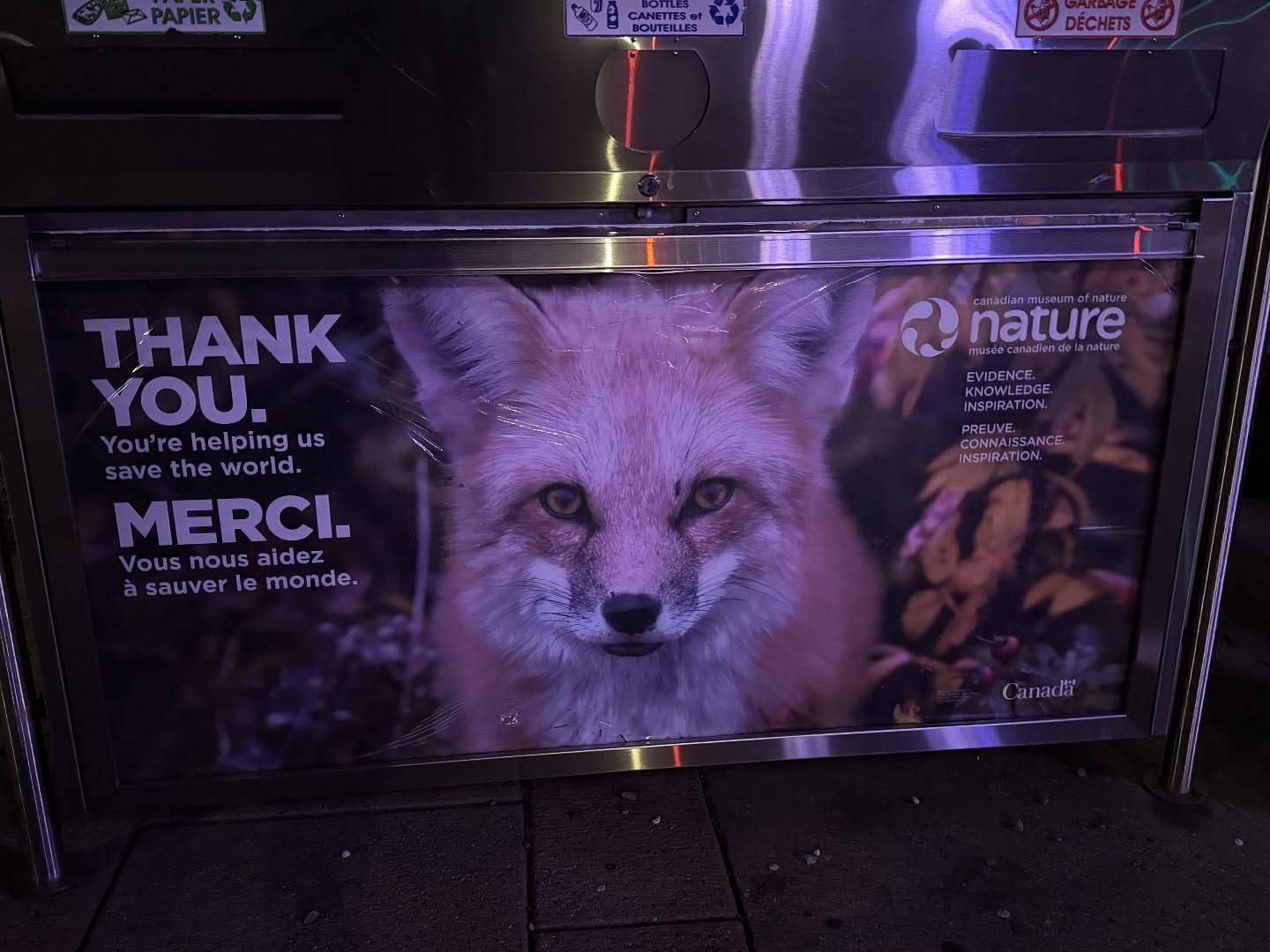 Last night I was privileged to attend the Museum of Nature in Ottawa, for the “Wild Minds, Bright Futures”, launch of the Canadian Wildlife Federation’s Canadian Centre for Nature based Education.
The future is bright and together we will continue to build a country where future generations can enjoy, learn in, and about the great out doors.
#getoutside #education #cwf #bringingthewildhome #wildplaceadventures