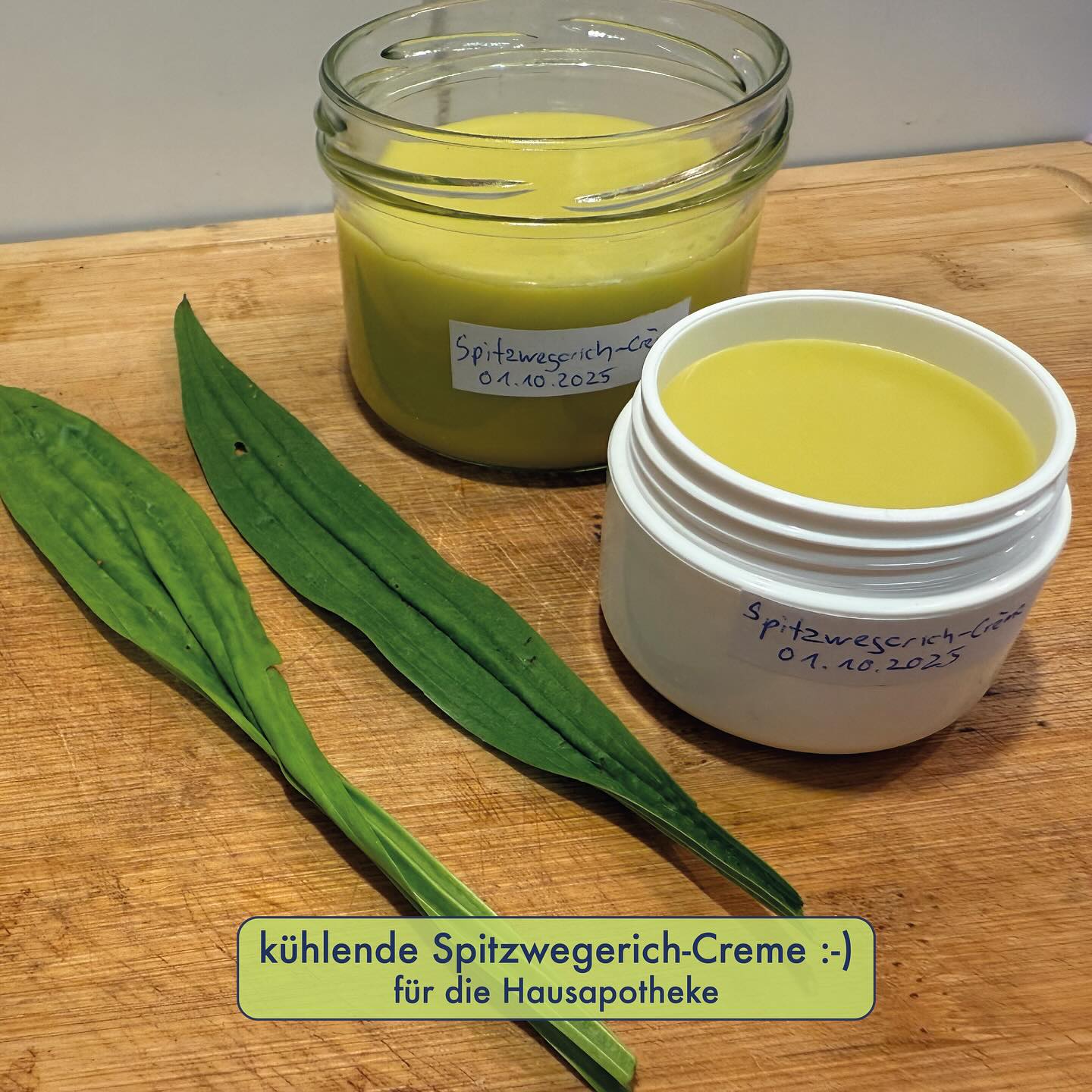 SPITZWEGERICH-CREME 🌱
Bereits letzten Juli habe ich einen Instagram-Betrag gepostet, wo ich erklärt habe, wie die kühlende Wirkung vom Spitzwegerich vermutlich zustande kommt. Ebenso habe ich erläutert, dass all diese Salbenrezepte aus dem Internet nichts bringen, da dort die wichtigen Inhaltsstoffe fehlen: Wasser (hats nicht in einer Salbe), Schleimstoffe (sind praktisch nicht fettlöslich) und Aucubin (ist ebenfalls nicht fettlöslich). Weiter hat man in der Salbe praktisch keine Gerbstoffe, da sich auch diese im Öl unlöslich sind. Eigene Versuche und auch meine Umfrage in der Insta-Story bestätigen, zumindest anekdotisch, diesen Befund.
Wer trotzdem etwas Haltbares für die Hausapotheke herstellen will, macht statt einer Salbe eine Creme. Grundlage hierzu ist ein Spitzwegerich-Teeauszug. Da es sich um ein wasserhaltiges und damit rasch verderbliches Produkt handelt, wird zusätzlich Cosgard als Konservierungsmittel eingerührt (welches von diversen Naturkosmetik-Zertifizierungen akzeptiert ist). Auf der Haut fühlt sich diese Creme wegen dem Wasser schon mal sehr angenehm kühl an (während sich die Salbe eher wärmend anfühlt). Ich hab die Creme auch schon bereits erfolgreich an Brennnesselstichen getestet :-)
Menge für ca. 200g Creme:
🌱75g Teeauszug (kleingeschnittene Spitzwegerichblätter 15min in heissem Wasser ausziehen lassen)
🌱 75g Olivenöl
🌱 0.5-1g Vitamin E (ca. 20 Tropfen)
🌱 30g Lanolin
🌱 10g Bienenwachs
🌱 10g Sheabutter (ca. 1 EL)
🌱 25 Tropfen Cosgard
Zubereitung:
1. Tiegel desinfizieren: mit hochprozentigem Alkohol einsprayen und verdunsten lassen
2. dem Olivenöl im Wasserbad bei ca. 62 Grad das Vitamin E, Bienenwachs und Lanolin einrühren (gibt die „Fettphase“).
3. Teeauszug aus Spitzwegerich erstellen und auf ca. 62 Grad abkühlen lassen
4. warmer Teeauszug schrittweise in die Fettphase einrühren
5. unter Rühren abkühlen lassen und bei der Temperatur, wo die Creme langsam leicht eindickt: Sheabutter und Cosgard einrühren
6. in die Tiegel füllen, abkühlen lassen und danach Deckel verschliessen
Haltbarkeit in der Theorie 3 bis 6 Monate.
#spitzwegerich #spitzwegerichssalbe #heilkräuter #heilpflanzen #hausapotheke