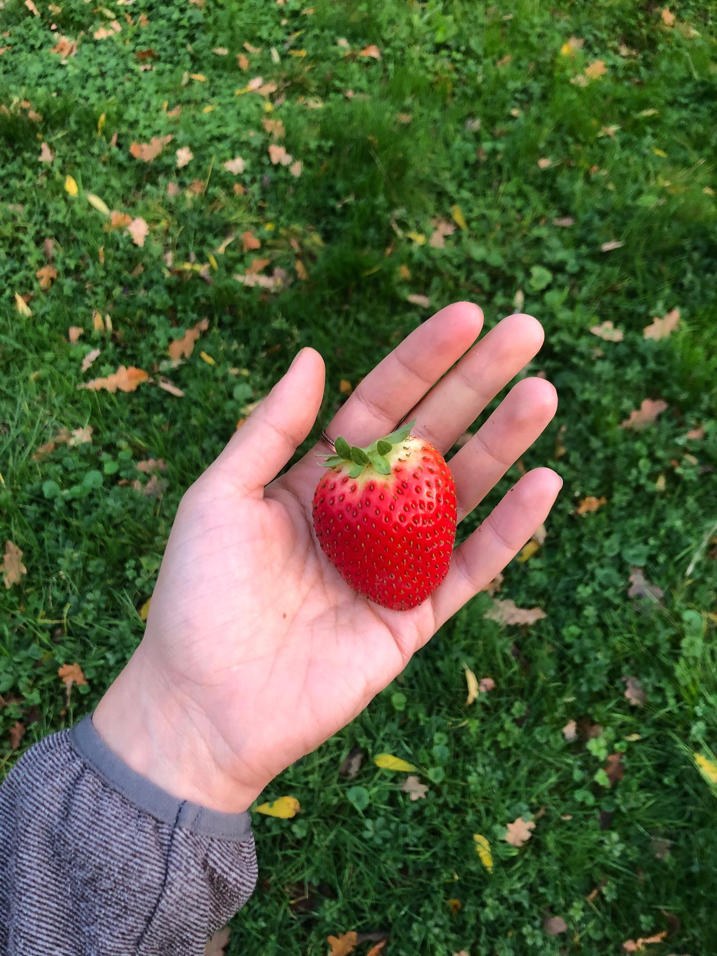 OCTOBRE 🍁
Gentil jardin, maison jolie, cendres tièdes, vacances scolaires, joli ciel, repas gentil.
Bras dessus, bras dessous avec mon chat.
