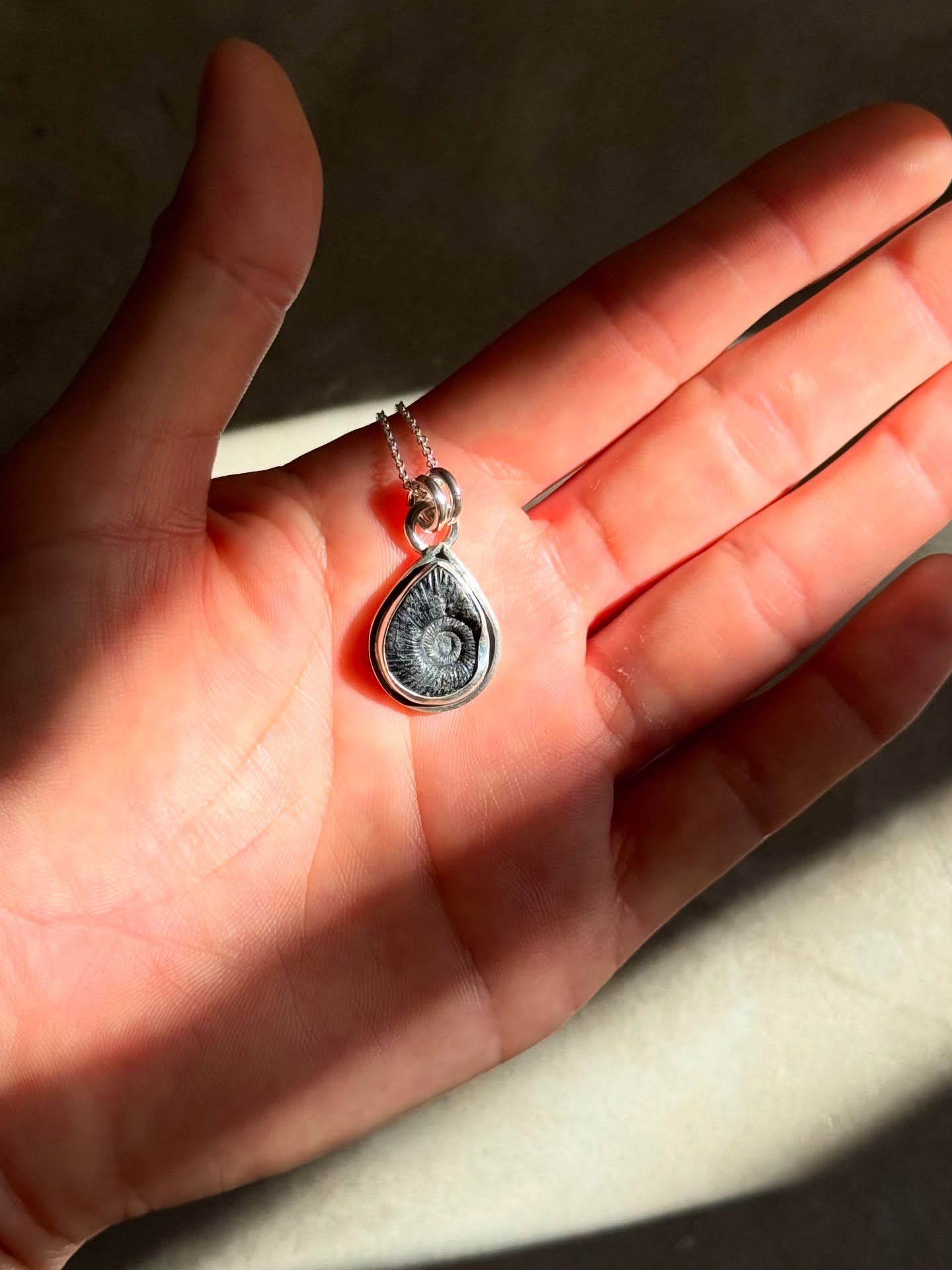 Collar con fosil Amonita. La luz del mar ✨
•
$1700
•
Pieza única