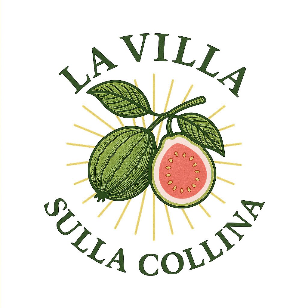 🌿✨ Opening Day update at La Villa Sulla Collina !!!!✨🌿
Sunday, November 23, 2025| 12:30–3:30 PM
🔗 Link in profile
Come celebrate the season’s first pick u-pick with our Cherimoya being ready earlier than expected. Many of you come here just for our fragrant creamy cherimoya so join us for this abundant crop and while the guava will be limited we will have some pink tropical ready now - these two treasures of the hillside will make for a great visit 🍈🍃
Stroll the orchard, fill your buckets, and savor the flavors that make winter in Oceanside feel like a tropical paradise. This is more than a u-pick—it’s a sensory escape into nature, tradition, and pure joy.
🎟️ Free entry | Family-friendly | Local flavors
#LaVillaSullaCollina #GuavaAndCherimoya #UPickOceanside #WinterHarvest #CaliforniaFruitMagic #FarmToTableJoy
