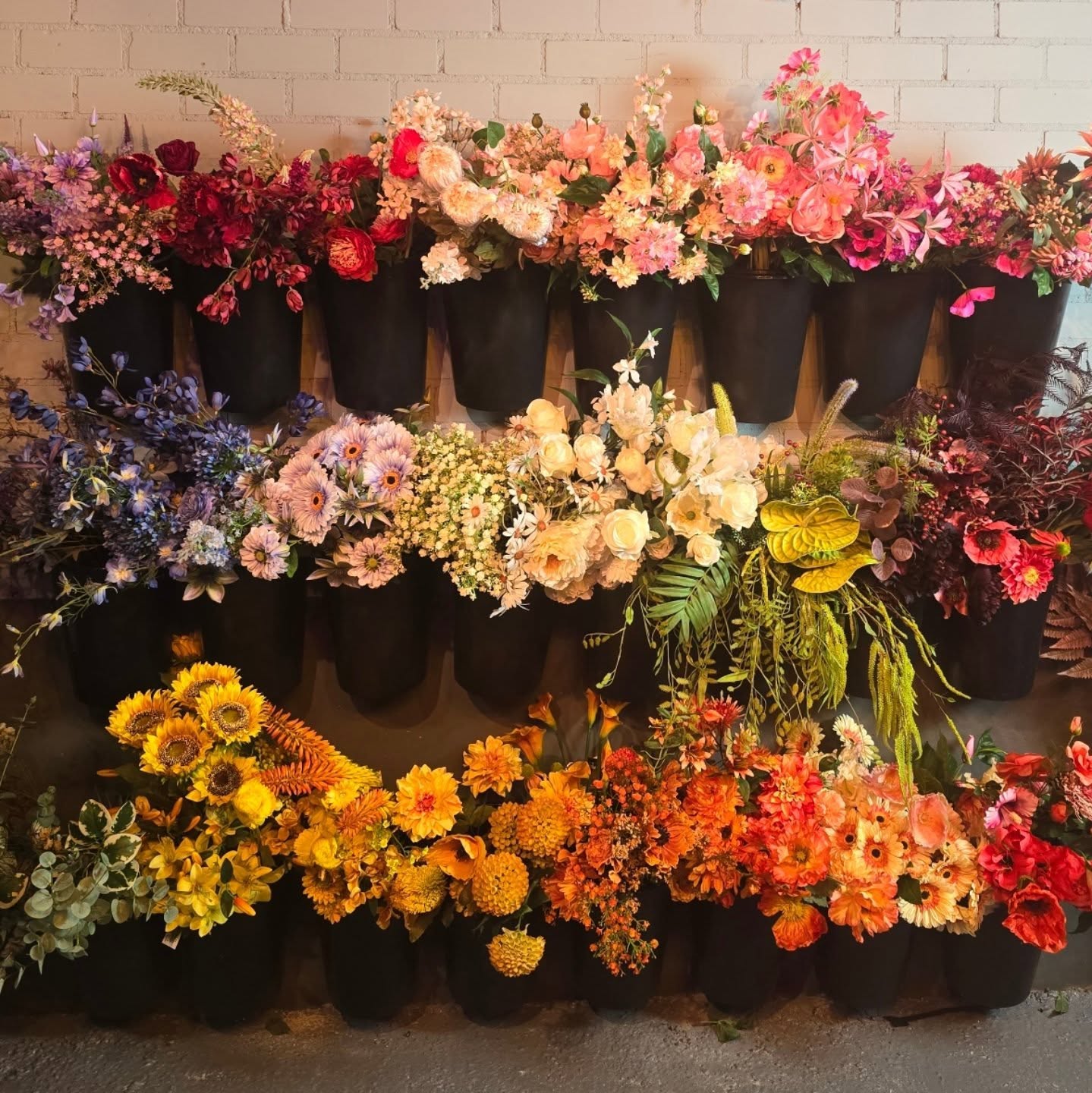 🌷 Word jij ook zo vrolijk van bloemen?
En helemaal als je er onbezorgd van kunt genieten! 🥰
Kom gezellig eens langs en ontdek onze kleurrijke voorraad — wij beloven dat je met een glimlach weer naar buiten gaat 🌼💐
#bloemenliefde #bloemenwinkel #bloemenmakenblij #lokaalwinkelen #flowerpower