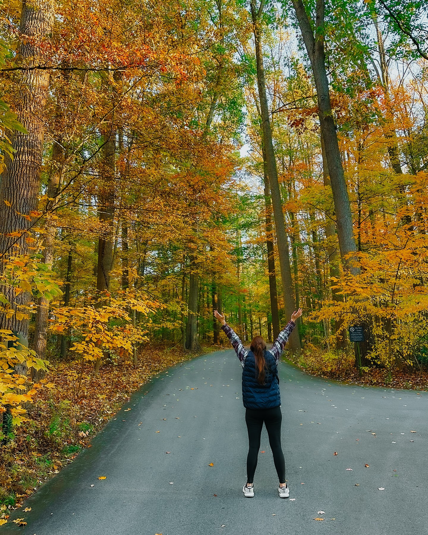 My husband and I ended up spending 4 hours at the @longwoodgardens 🤭 Here’s what you need to know before you go:
• WHAT TO DO: It’s a great place to walk in nature, enjoy the changing trees, view unique, seasonal and colorful flowers, learn about a variety of plants, listen to live music outside, hang out in a beer garden, enjoy seasonal events, watch a fountain shows, etc.
• WHAT TO WEAR: Put on comfortable walking shoes. It’s a big place and even spans more than 1,100 acres! Also, layer up if it’s cold and you’re visiting around this time of year.
• ADMISSION: It’s $32 for adults (discounts apply for students, seniors, kids, military/veterans, etc.), but it was worth it to us. You can grab tickets online with a timed entry; it is possible to buy tickets onsite (we did) if it’s not sold out, but this is not a guarantee.
• BATHROOMS: There are many bathrooms. The main building has some as well as the other buildings you’ll come across as you walk.
• FOOD: There’s a cafe and bear garden with food and drinks.
• TIP: Be sure to bring in everything you need (warm clothes, snacks, etc.) because you can’t get back in once you leave.
•••••••••••
#philadelphia #pennsylvania #visitpennsylvania #travelmore #usatravel #eastcoast #philadelphiapa #botanicalgardens #arboretum #gardenlovers #whereyouwander #autumndestinations #falldestinations #fallcolors #autumnleaves