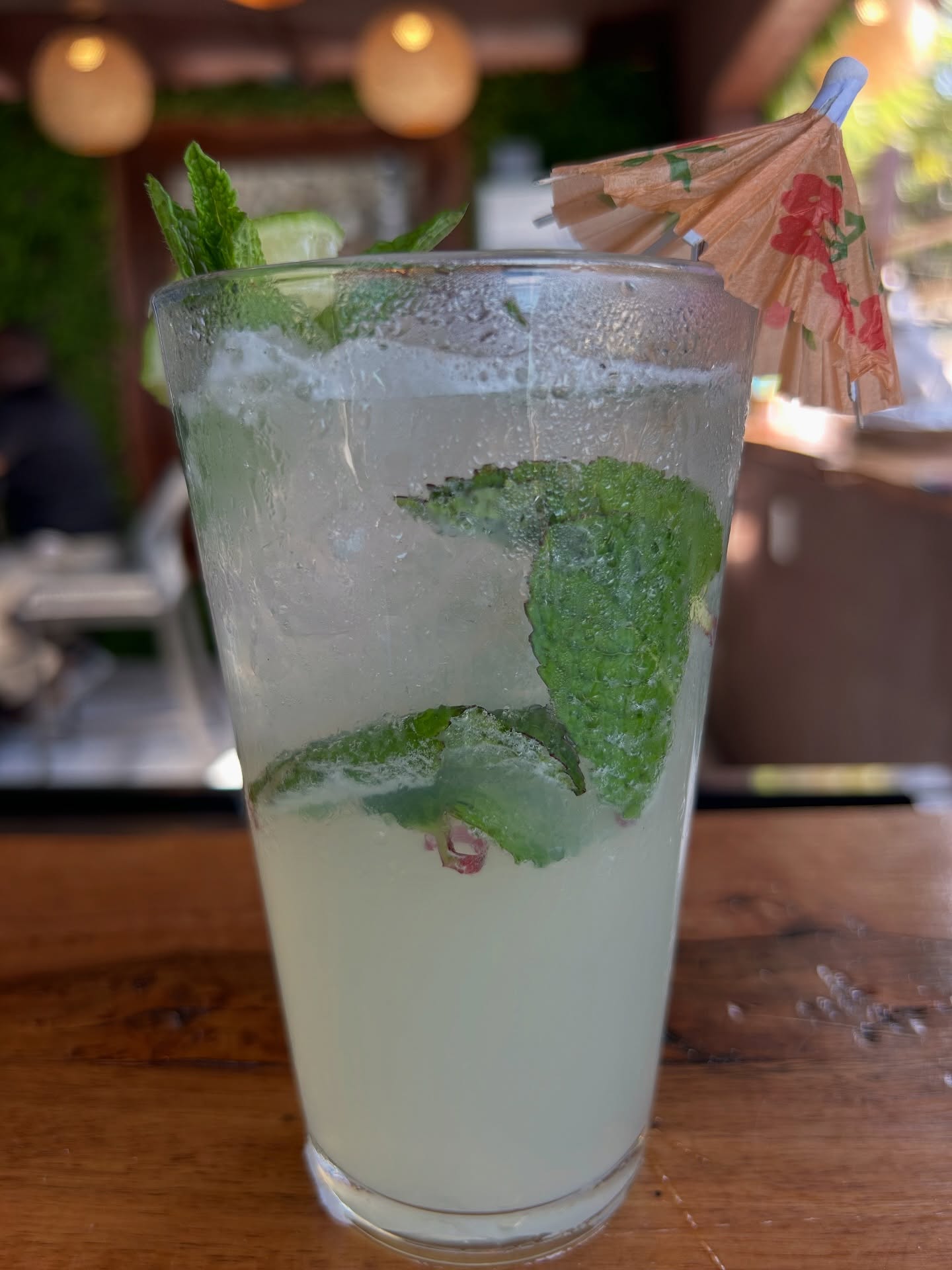 Cheers to another beautiful day at #007beachclub❤️❤️🎉
#mojitos #treehousebar #roseisland #swimmingpigs