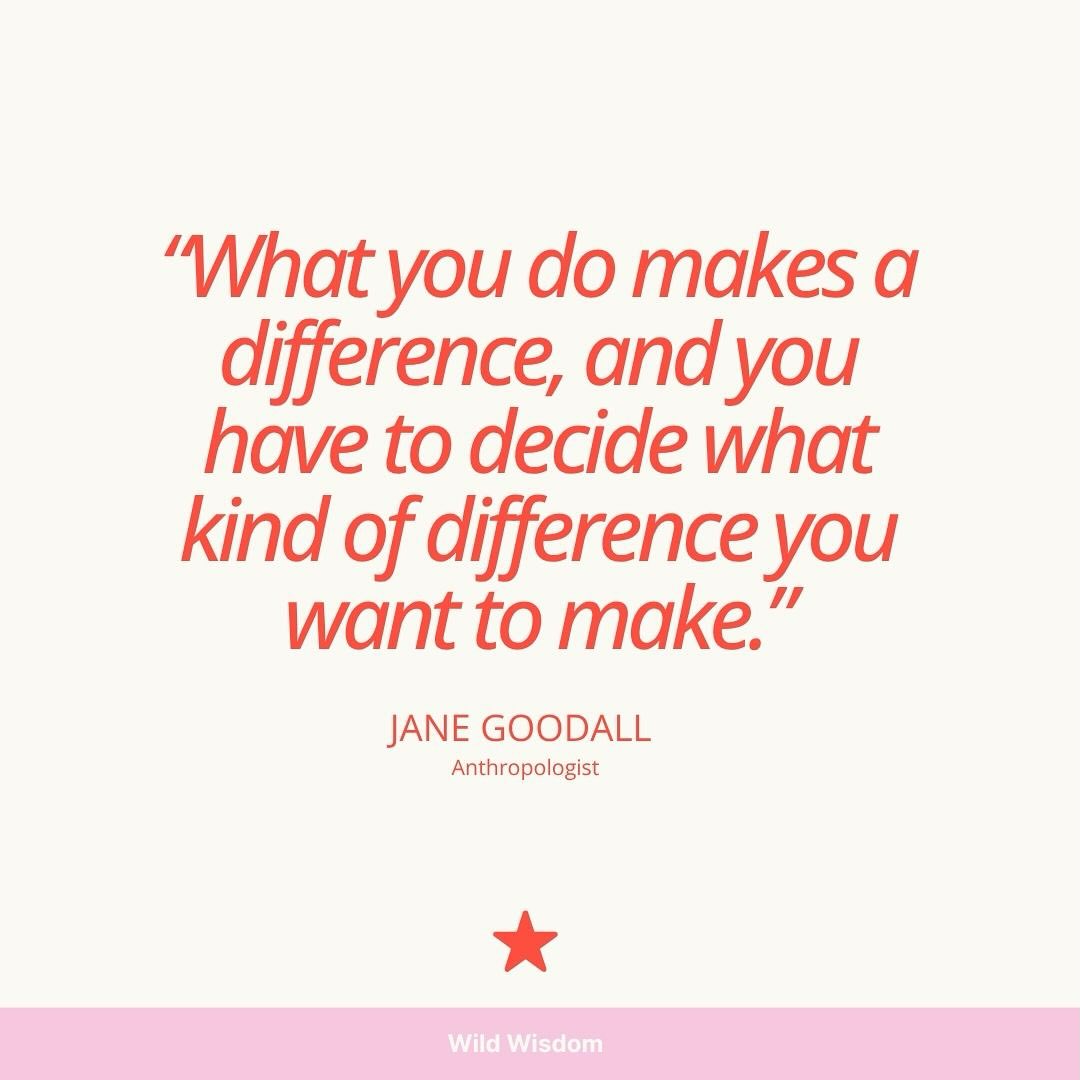 We all make a difference —
the question is, what kind?
When we live with purpose, we don’t just change our own path — we quietly shift everything around.
Every action, every plan, every small spark of intention
adds a little more light to the world.
#wildstar #DreamPlanShine #WildWisdom #AuthenticLiving #womenwhocreate #IntentionalLiving #mindfuljourney #positiveimpact #soulfulbusiness #inspiredbynature_ #smallstepsbigdream #janegoodall #naturelovers #africaninspired #protectnature