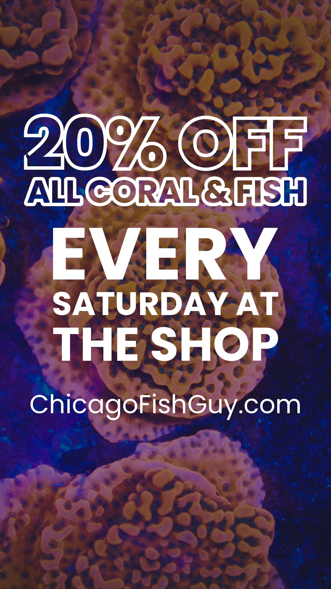 20% Off all coral and fish
Every Saturday
At the shop
#allmymoneygoestocoral #chicago #reefaddict #sale #coral