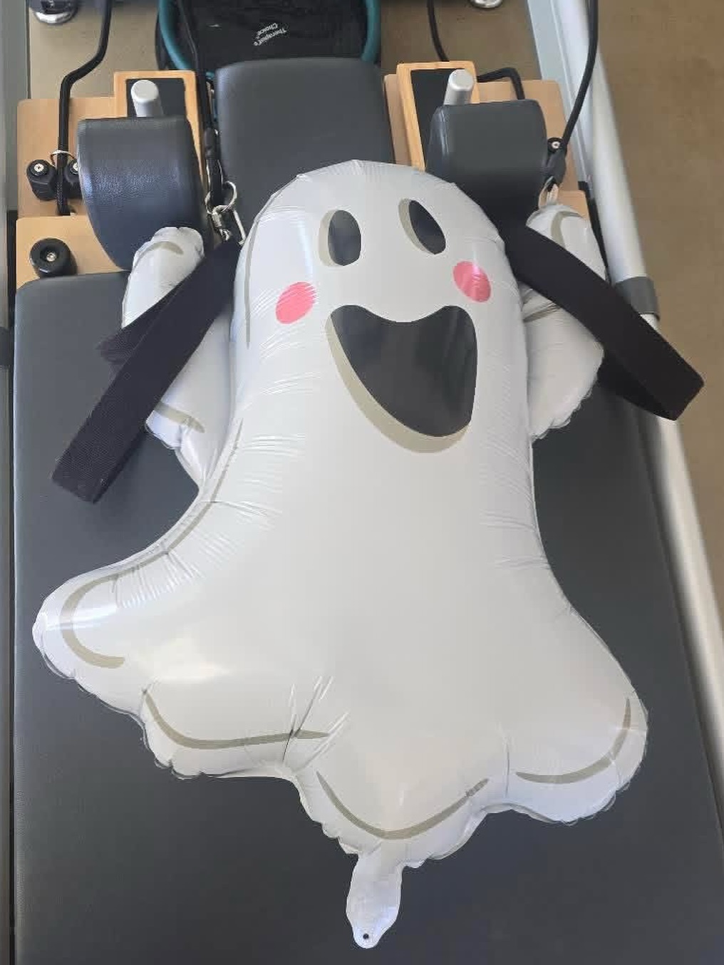 Our Pilates and fitness studio is open to all walks of life… and afterlife. Happy Halloween! 👻 #pilatesdenver #southdenverfitness