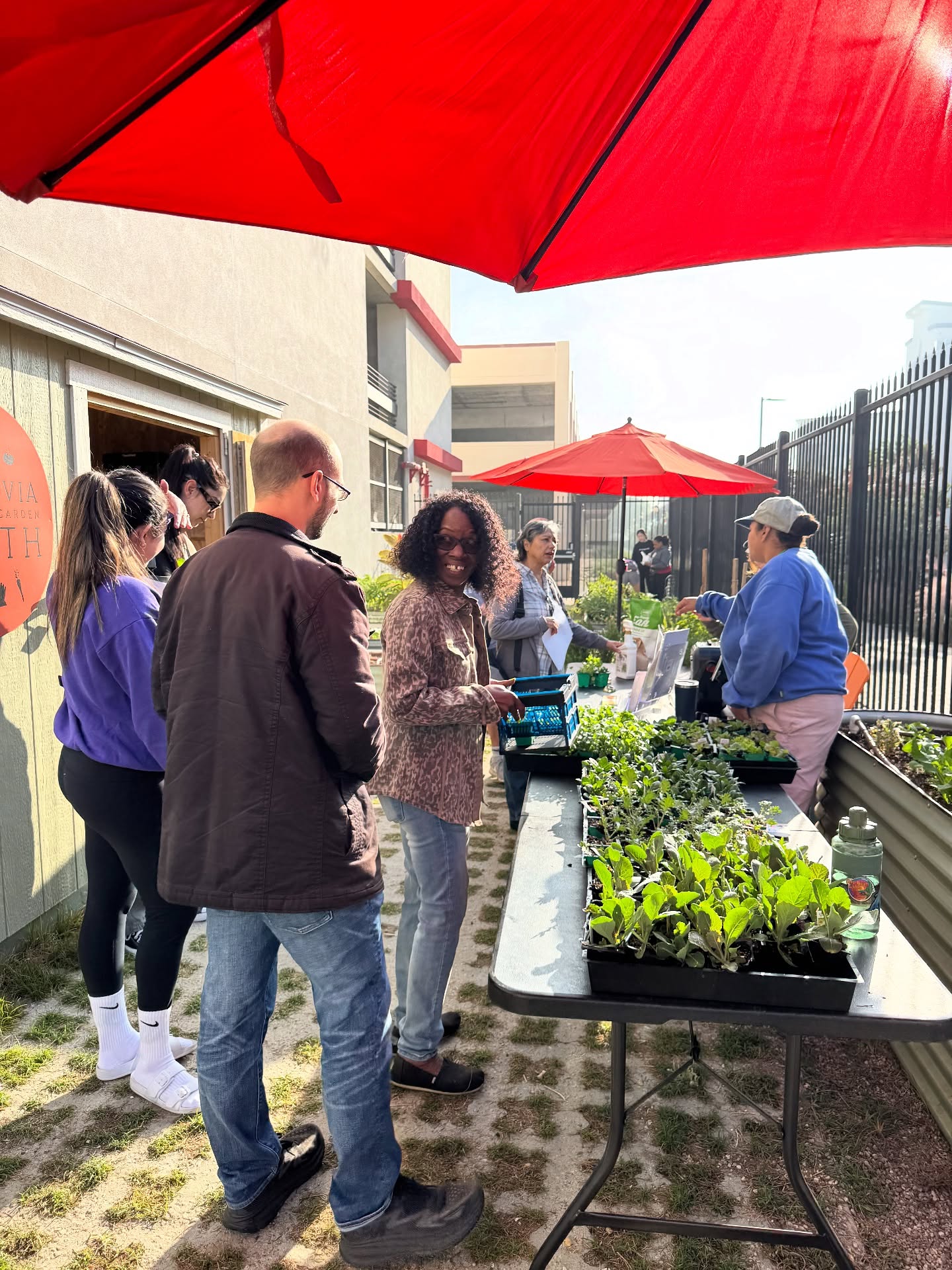 🌱 Thanks for a great morning of conversation & learning about winter veggies at Monrovia Community Garden South! Grow, grow, grow! 🥦🥬🥕🫛🥔🍠🫚🧅🧄