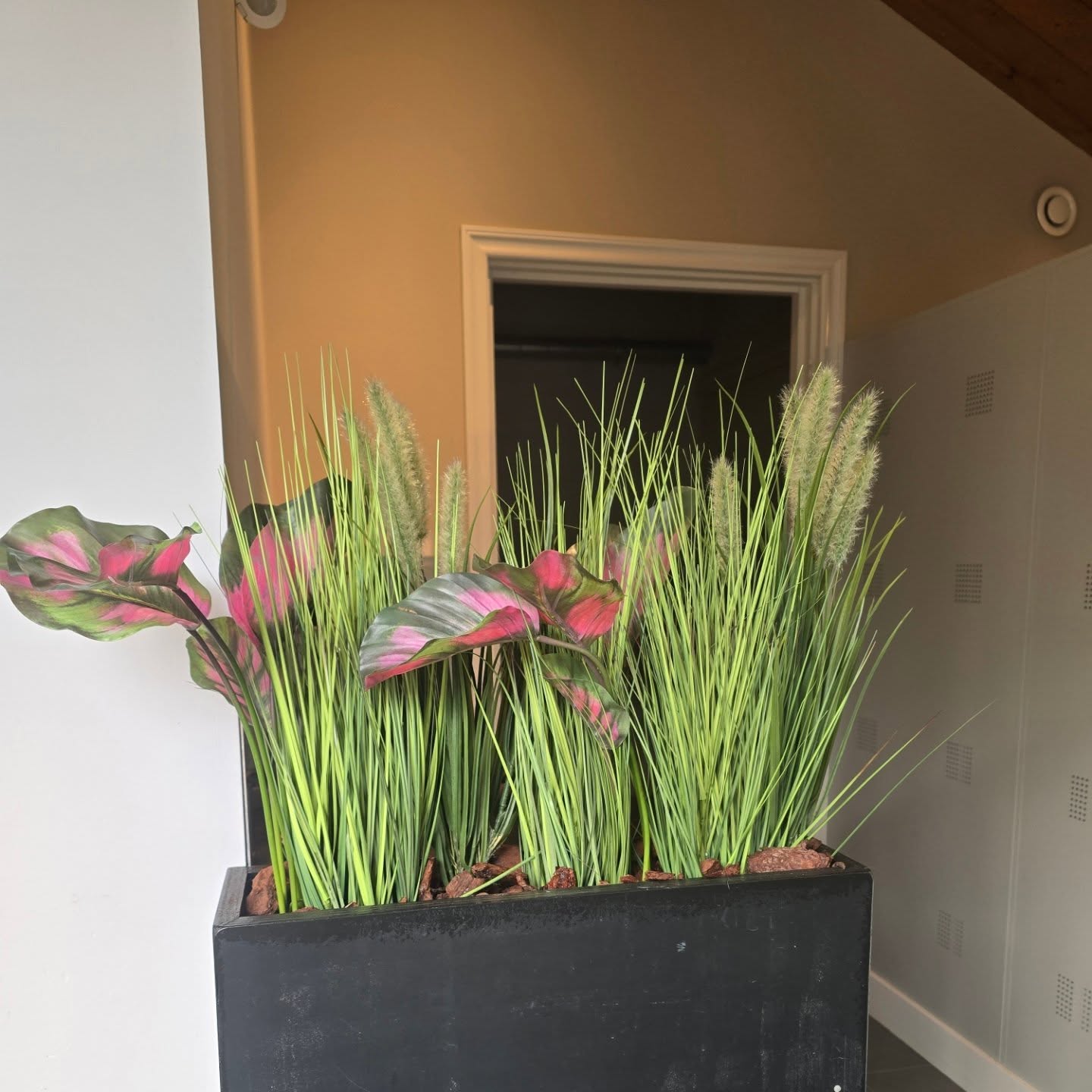 Room divider 🪴🌿 #groenewerkomgeving#langergenieten#klantontvangst #altijdgroen#zorgeloosgenieten