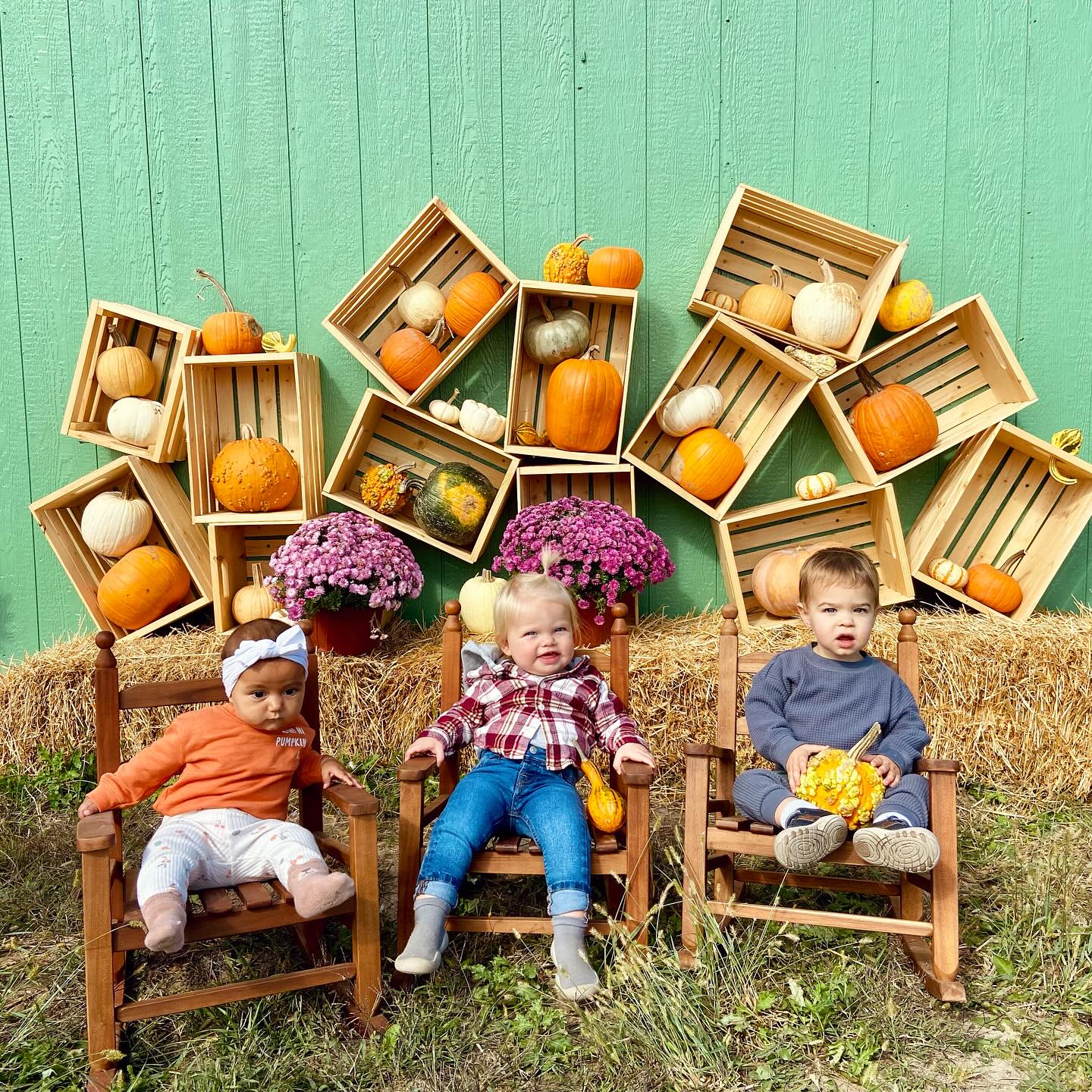 • pumpkin spice & everything nice ✨🍂 #fallarchives