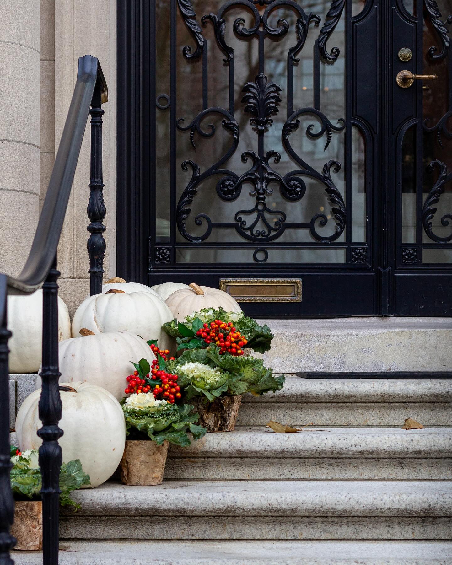 Happy November! Time to get ready for the holidays! ✨
.
.
.
.
.
#citygarden #garden #gardendesign #growsomething #gardenlove #boston #backbay #containergarden #gardenstyle #instagarden #landscaping #outdoorliving #outdoordecor #outdoordesign #gardenlife #curbappeal #windowbox #home #bhg #bhghome #bostonhome #rslove #plantlove #igboston #theprettycities #mytinyatlas #fallvibes #holidayseason