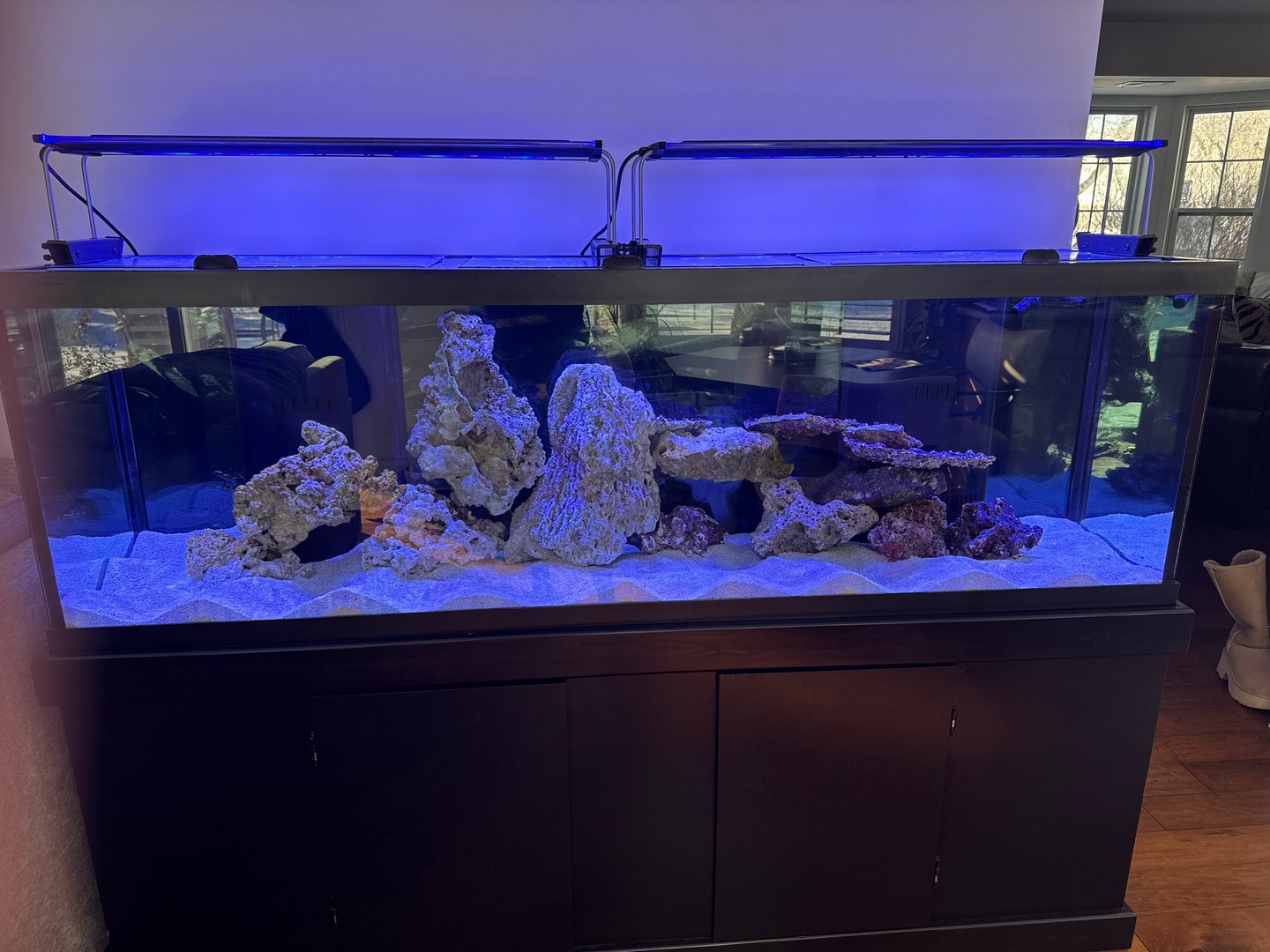 🌊 Dive into the beauty of tailored aquarium installations with Marine Concepts! Whether you’re a homeowner, a business, or an aquarium enthusiast, we create stunning aquariums that fit your unique space and needs. Ready to transform your environment? Let’s get started! Link in bio. 🐠✨ #AquariumDesign #MarineConcepts #Chicagoland #UnderwaterOasis #AquariumLife #Fishkeeping #HomeDecor #CustomAquarium #Aquascaping