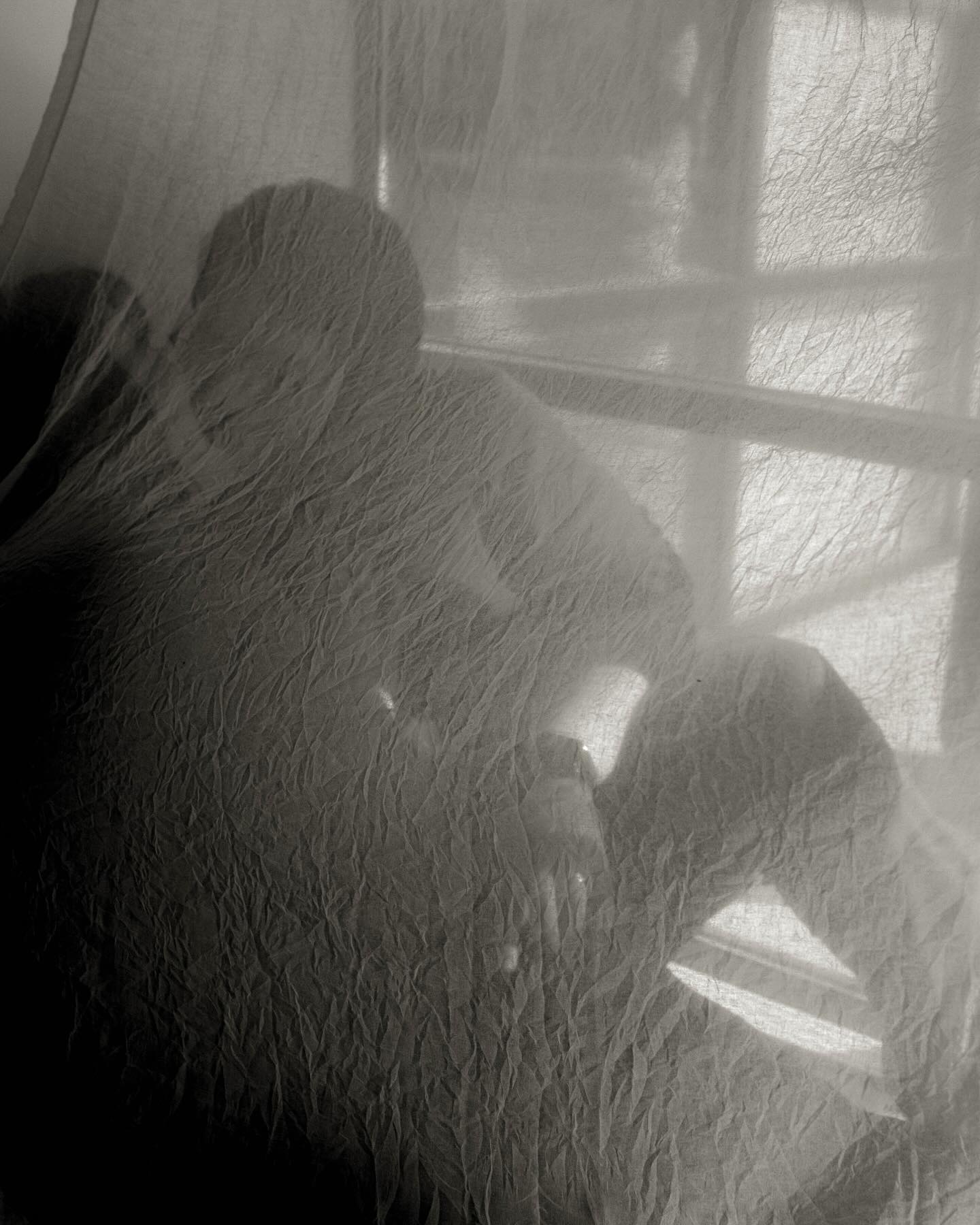 There was something really special about this workshop…not just learning how to pose or direct, but how to see people.
Every body is worthy of being photographed with intention, empathy, and artistry.
This day at Haze Studio reminded me how much I love creating a space where people feel confident, radiant, and celebrated ….exactly as they are. 🫶🏼
Huge thanks to @jess.nicole.creative and @_hazestudio for holding such a safe, empowering space for creatives.
#plussizephotography #bodypositivephotographer #hazestudio #grandrapidsphotographer #empoweredphoto #photographyworkshop #creativecommunity #representationmatters #behindthelens #bodyinclusivity