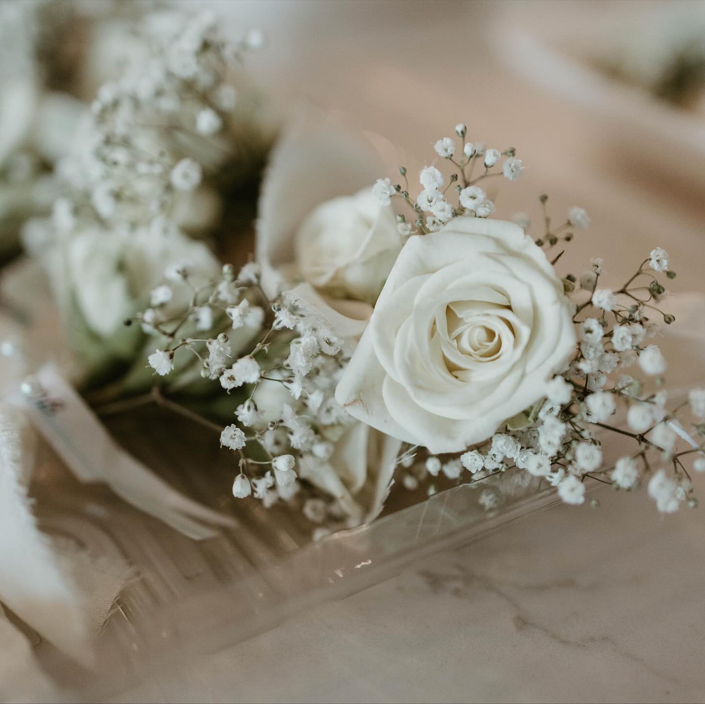 Boutonnières 🌹
- Heidi
#heidisflorals #heidisfloraldesigns #ottervilleontario #norwichontario #weddingfloraldesign #weddingsontario #woodstockontario #oxfordcountyontario #florals #eventflorist
Photos @percival_photography
#ontarioflorist #heidisflorals #floraleventdesign #norwichontario #ottervilleontario