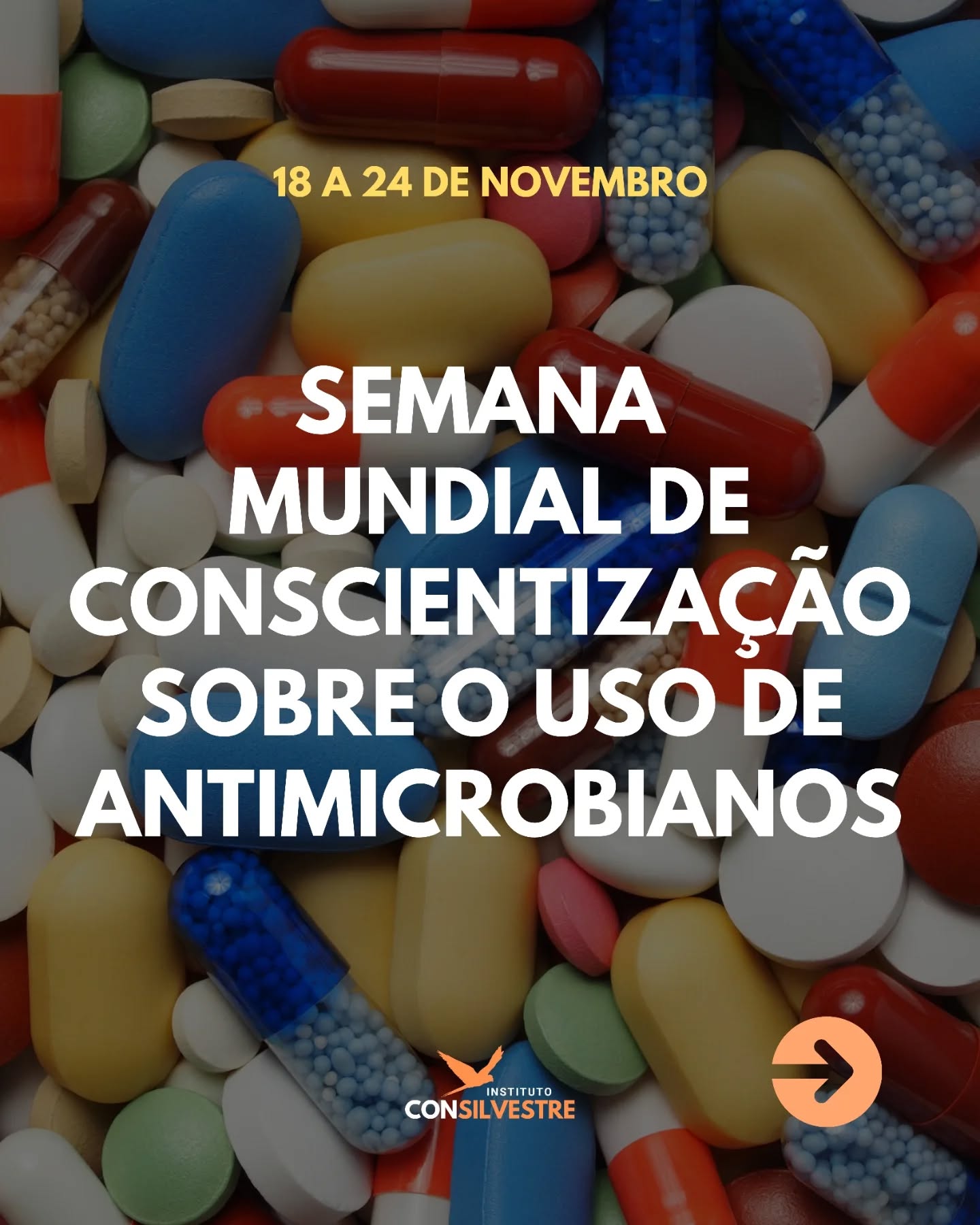 💊 O uso incorreto de antimicrobianos é uma das maiores ameaças à saúde global. É preciso muita atenção com o uso irregular desses medicamentos! ⚠️
#conservação #meioambiente #biodiversidade #natureza #animaissilvestres #faunasilvestre #organizaçãonãogovernamental #proteçãoanimal #monitoramento #ong #camposdosgoytacazes #riodejaneiro #rj #pesquisa #educação #pesquisacientifica #educaçãoambiental #mataatlantica #consilvestre #institutoconsilvestre #Antibióticos #ResistênciaAntimicrobiana #SaúdeÚnica #OneHealth