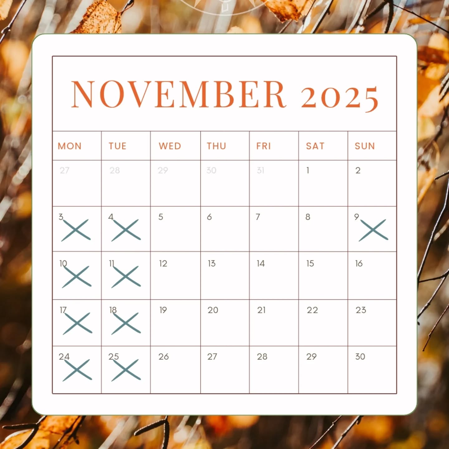 We will be closed for an additional day this coming Sunday (9th November).
Otherwise we will be open as usual for any of your piercing and jewellery desires. To see our available appointments please visit our website.