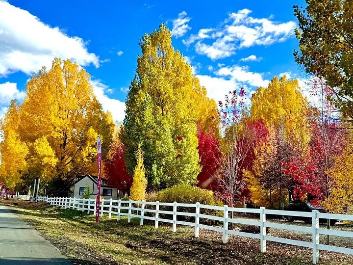 Hello Fall!
#mundspark