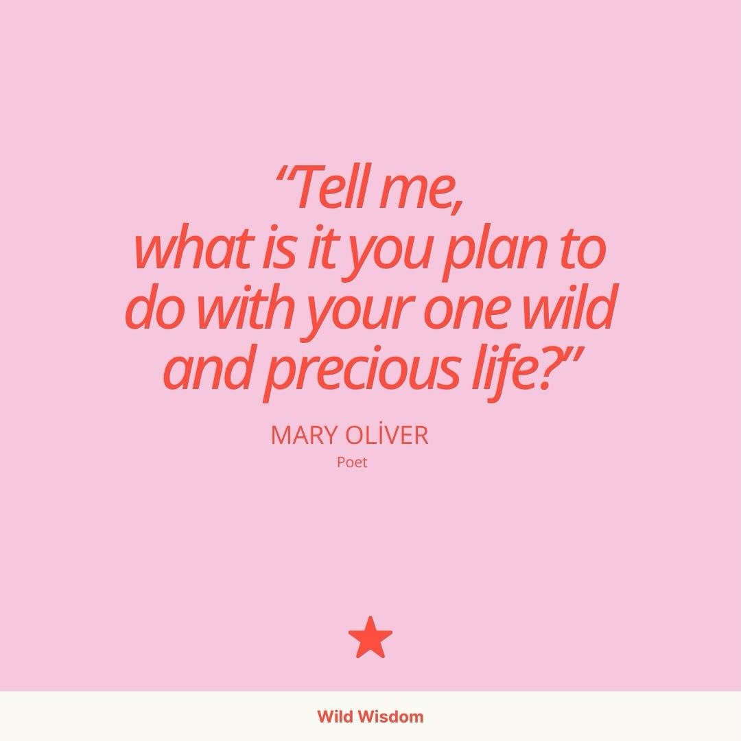 “Tell me, what is it you plan to do with your one wild and precious life?” — Mary Oliver
A question that never gets old, and one that calls us to decide, act, and live with purpose.
What’s one small, meaningful thing you can do this week that feels truly alive? 🌸
#wildstar #DreamPlanShine #wildwisdom #maryoliver #mindfulchange #findyourwild #selfgrowthquotes #stationerylove #motivationalquotes #stationeryaddict